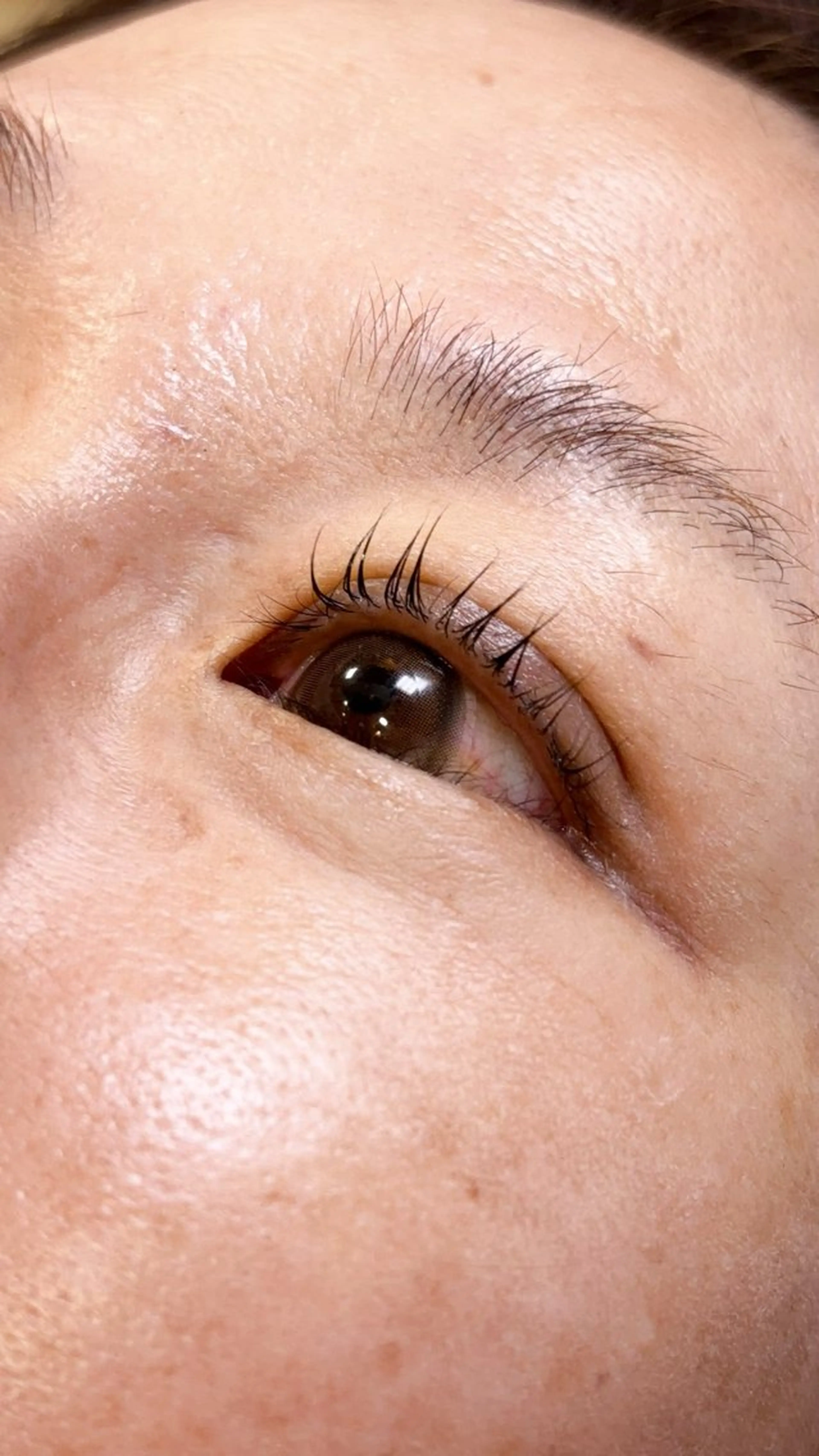 まつげパーマ🌺(アイシャンプー¥+550)の写真