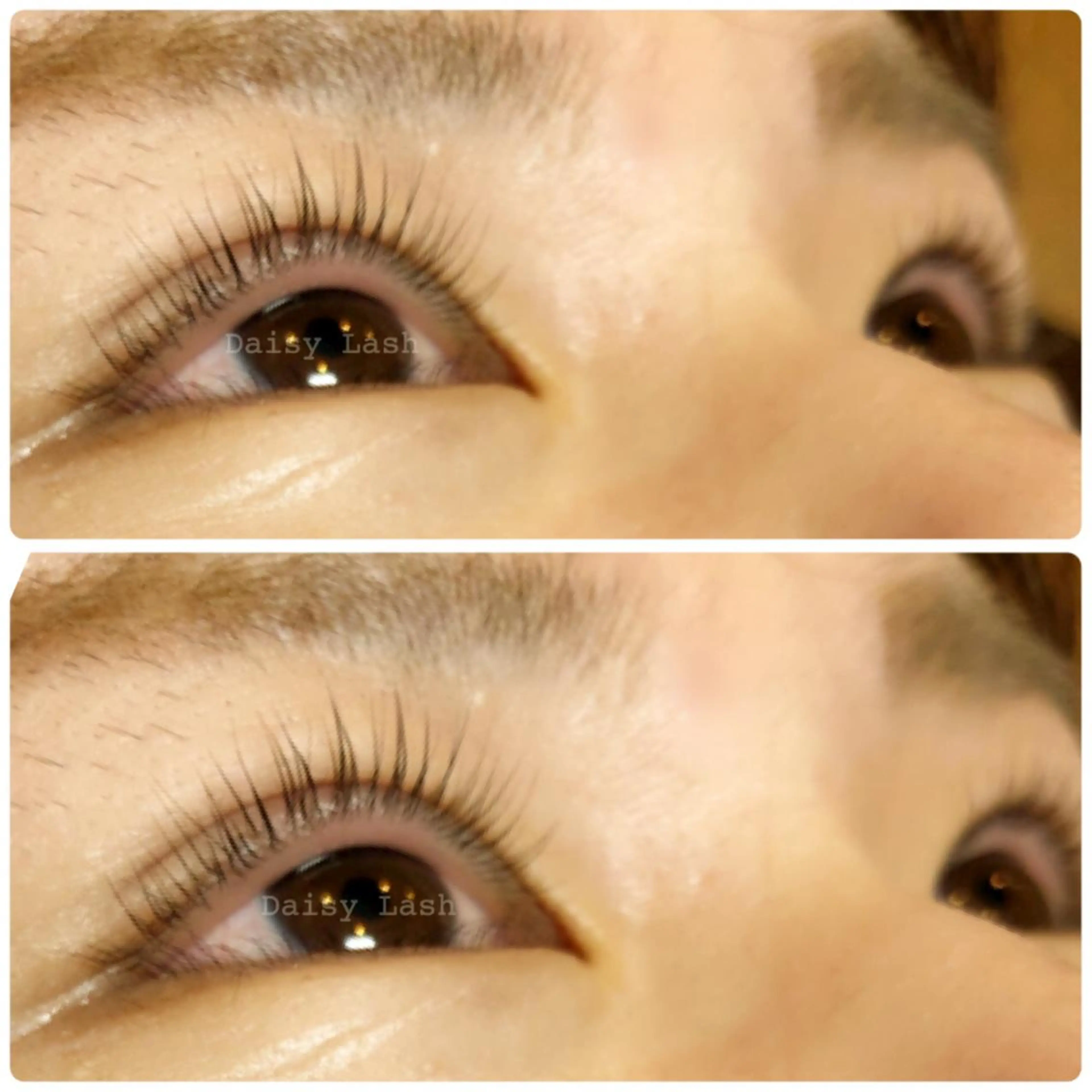 マツエク・マツパ パリジェンヌラッシュリフト Daisy Lash 梅田本店のマツエク・マツパデザイン