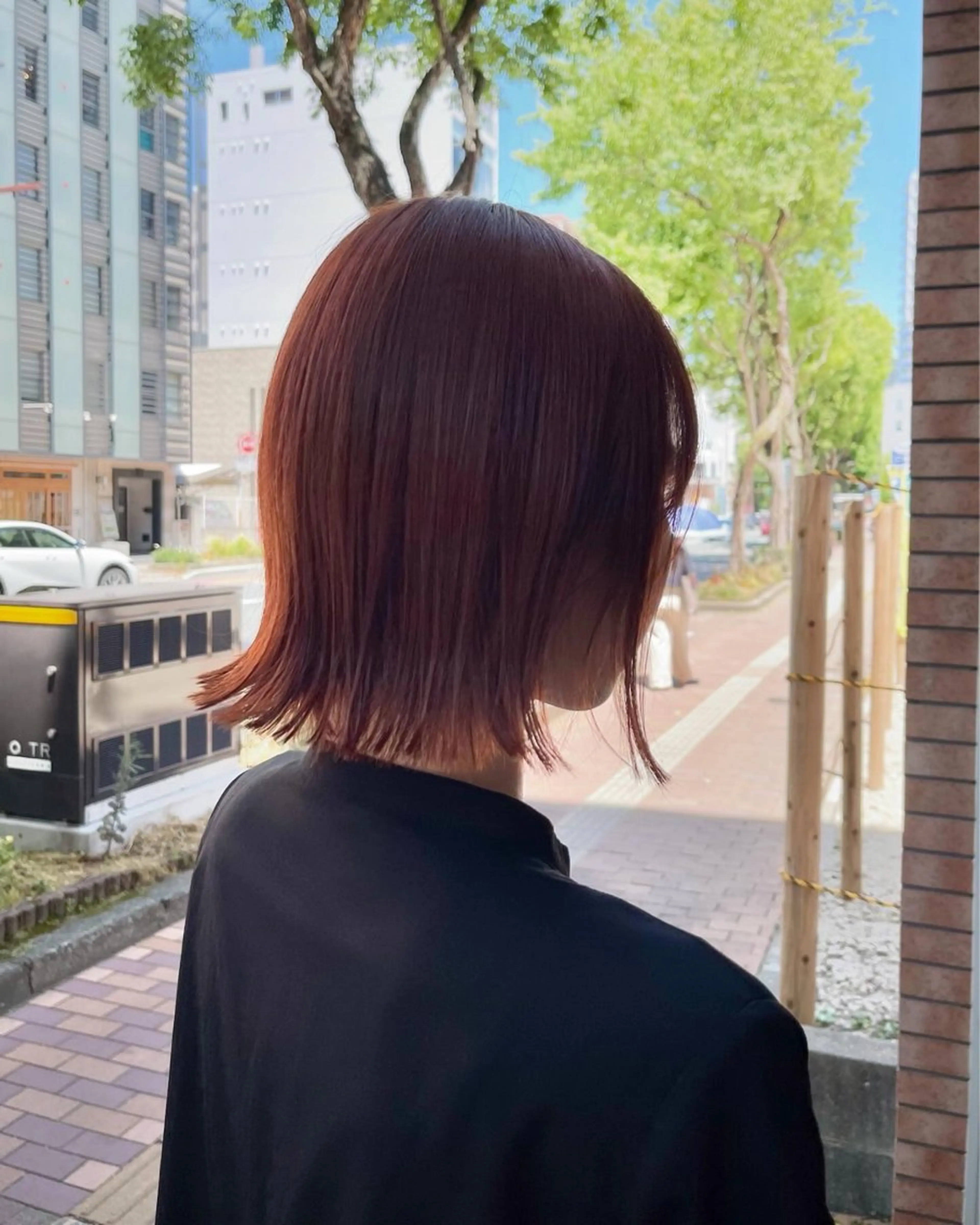 ミディアム カット ヘアカラー 園田 渉 ◤SHIKIO◢のヘアスタイル