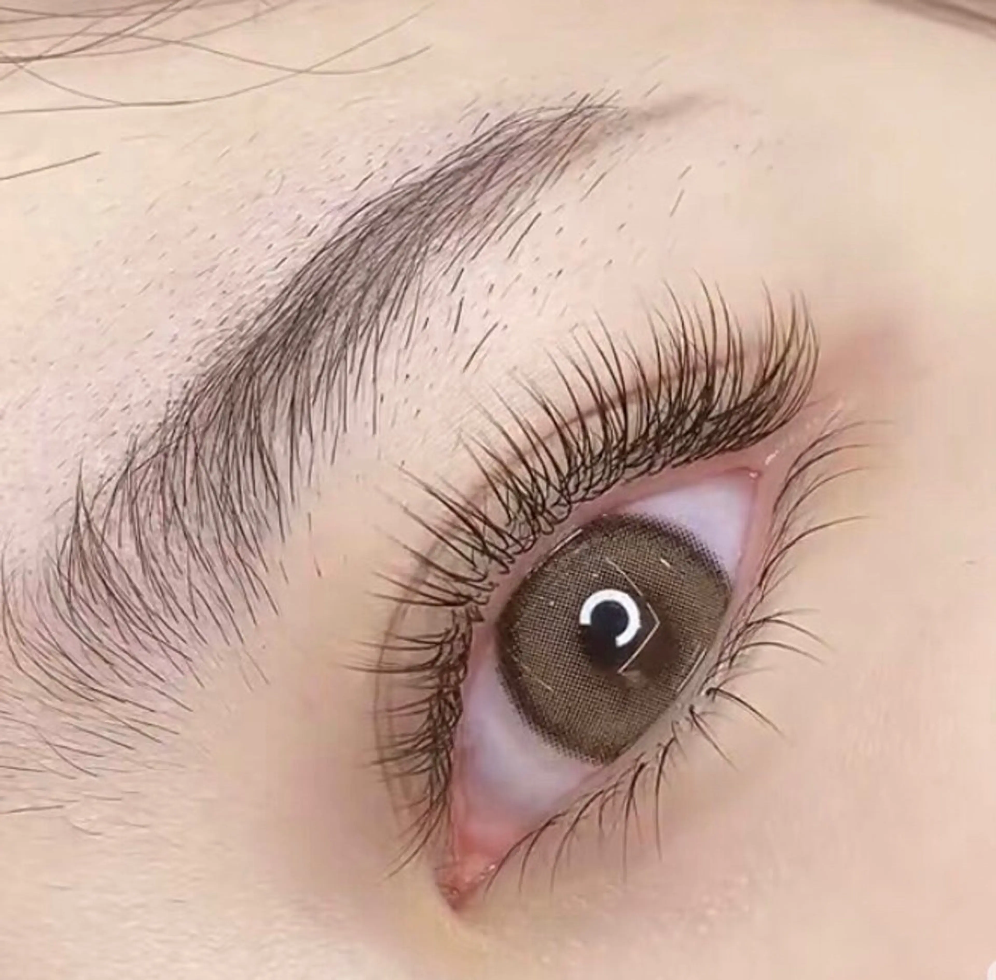 【初回オフ無料】フラットラッシュ120本　アイシャンプー無料👍の写真