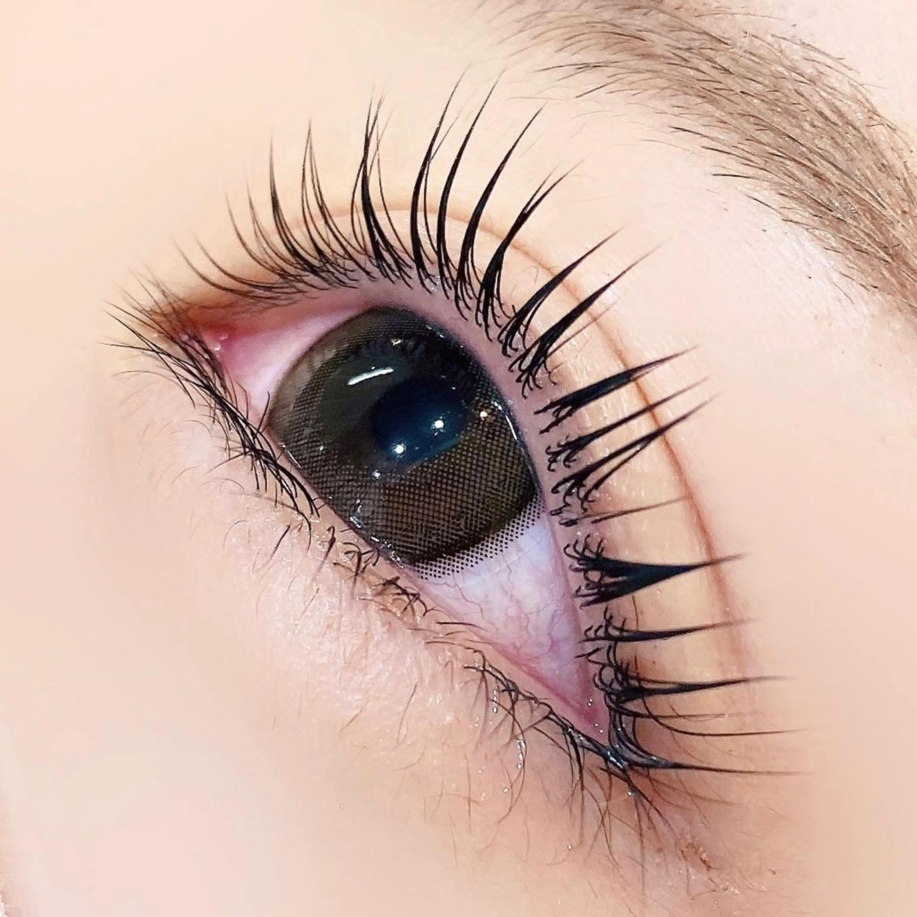 マツエク・マツパ パリジェンヌラッシュリフト マツパ 【myonsil】 Suzuki*のマツエク・マツパデザイン