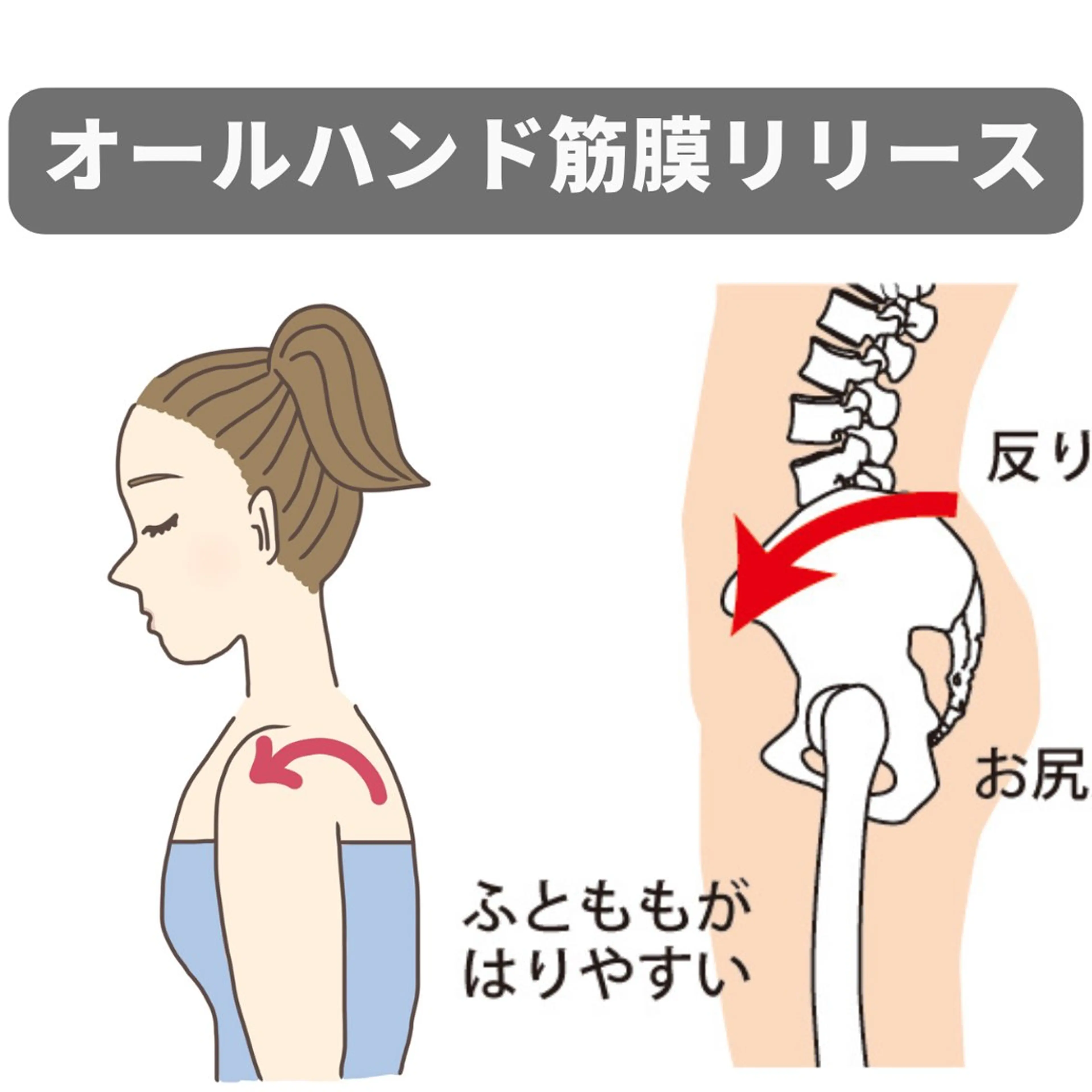 Nexfit for Beauty小顔矯正のエステ・リラクイメージ