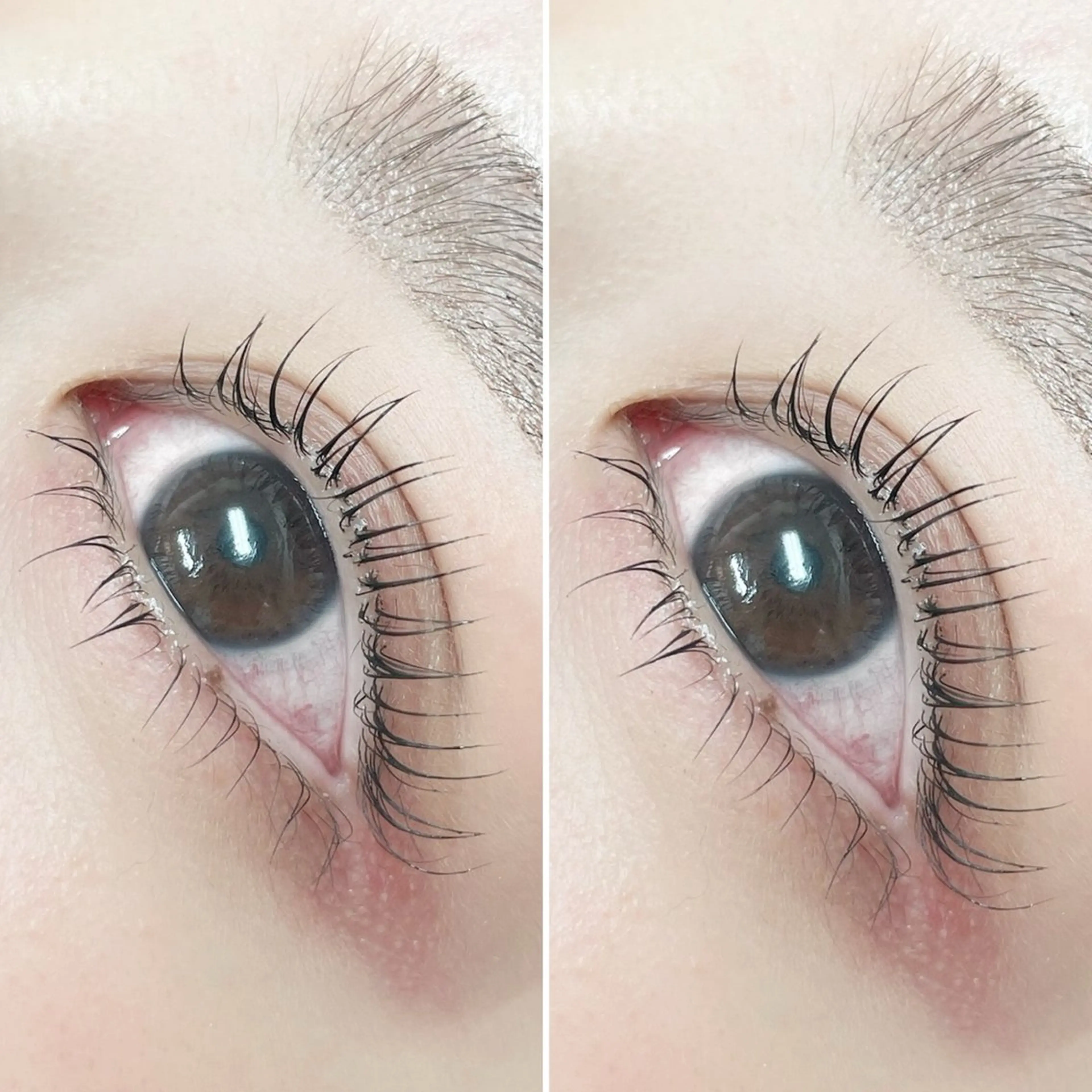 デザインラッシュリフトの写真