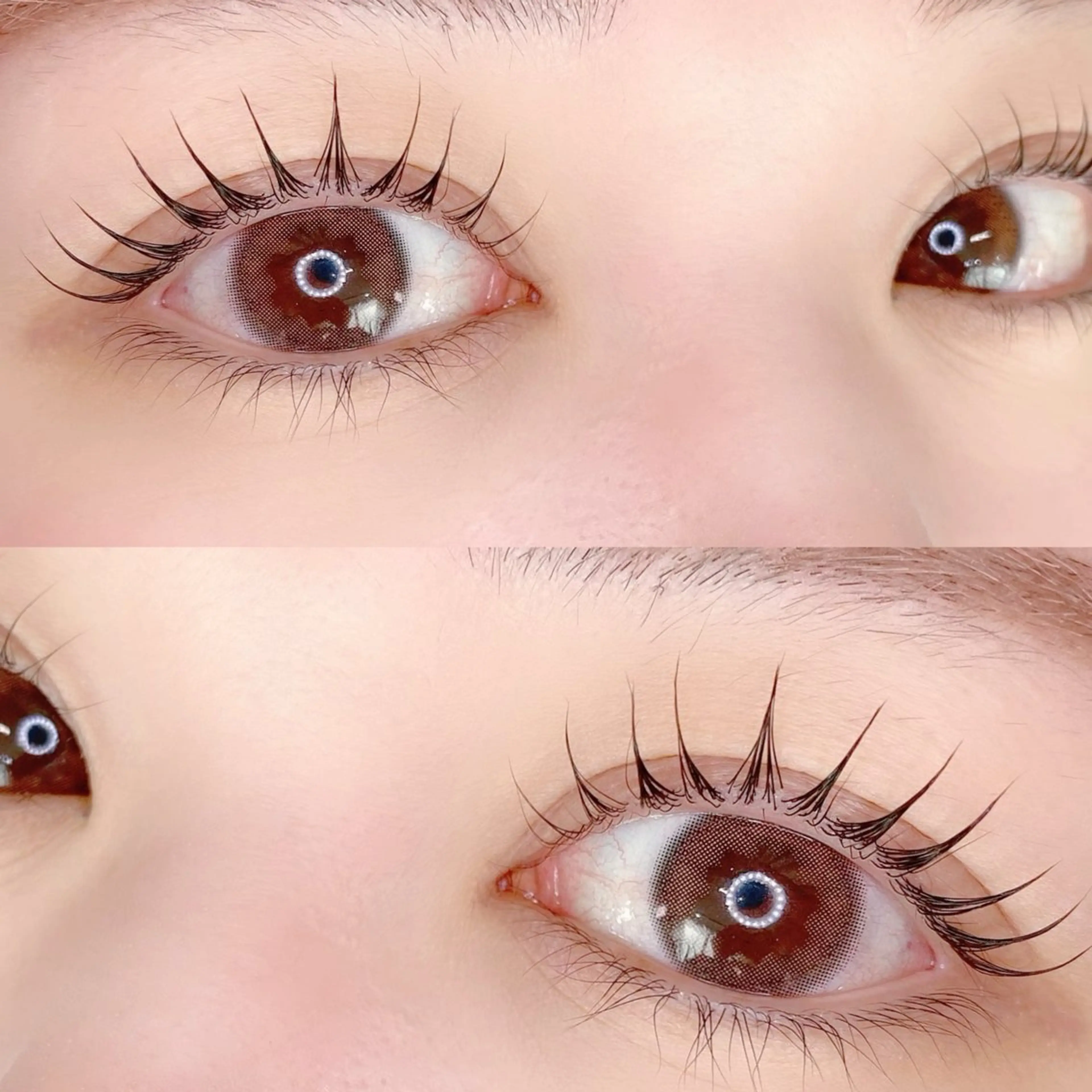 🧚‍♀️setでお得✨まつげパーマ♡エグータムマスカラ🎁の写真