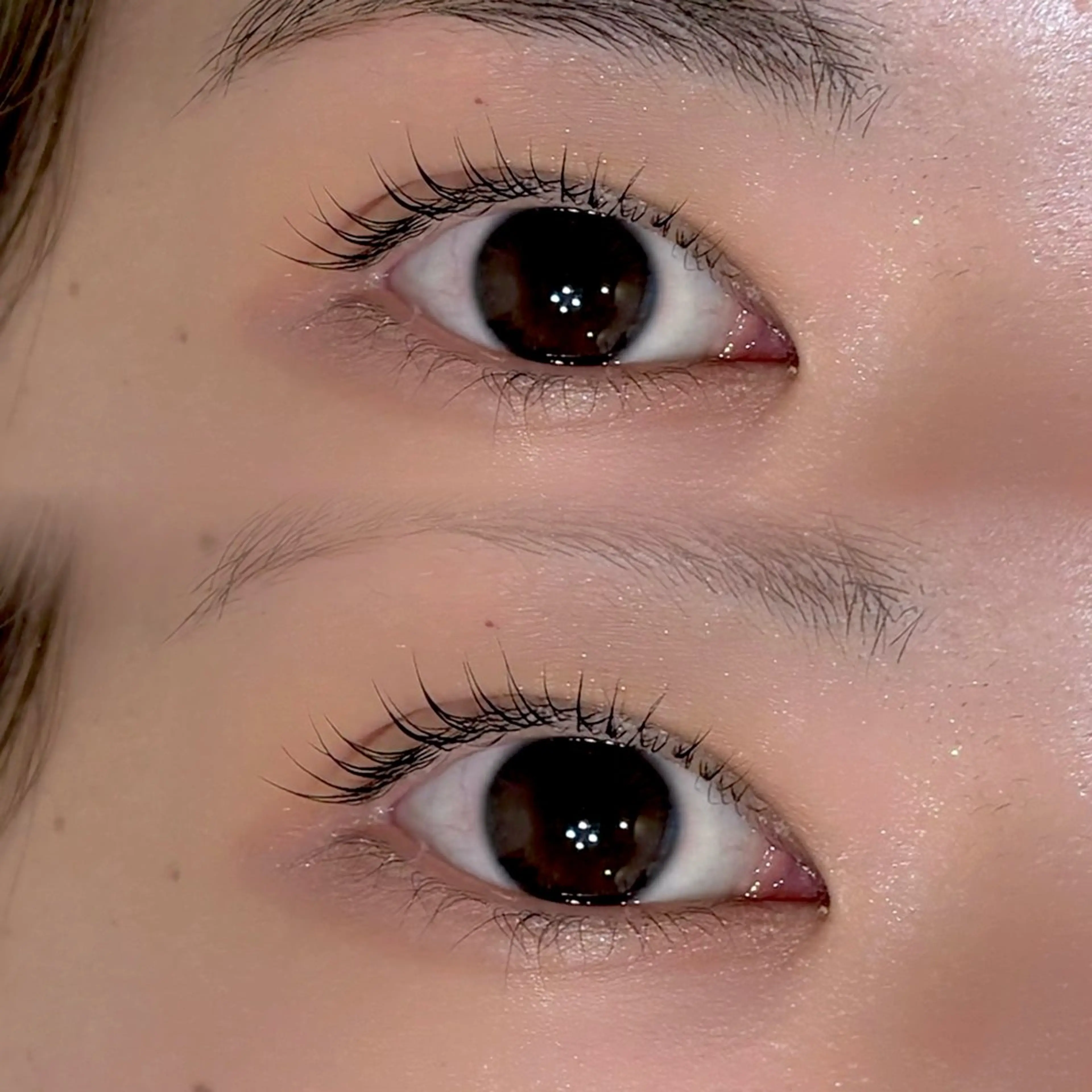 マツエク・マツパ 22+2 V1Let,s Eyebrow&Eye所属・v1Let,s cocoroのマツエク・マツパデザイン