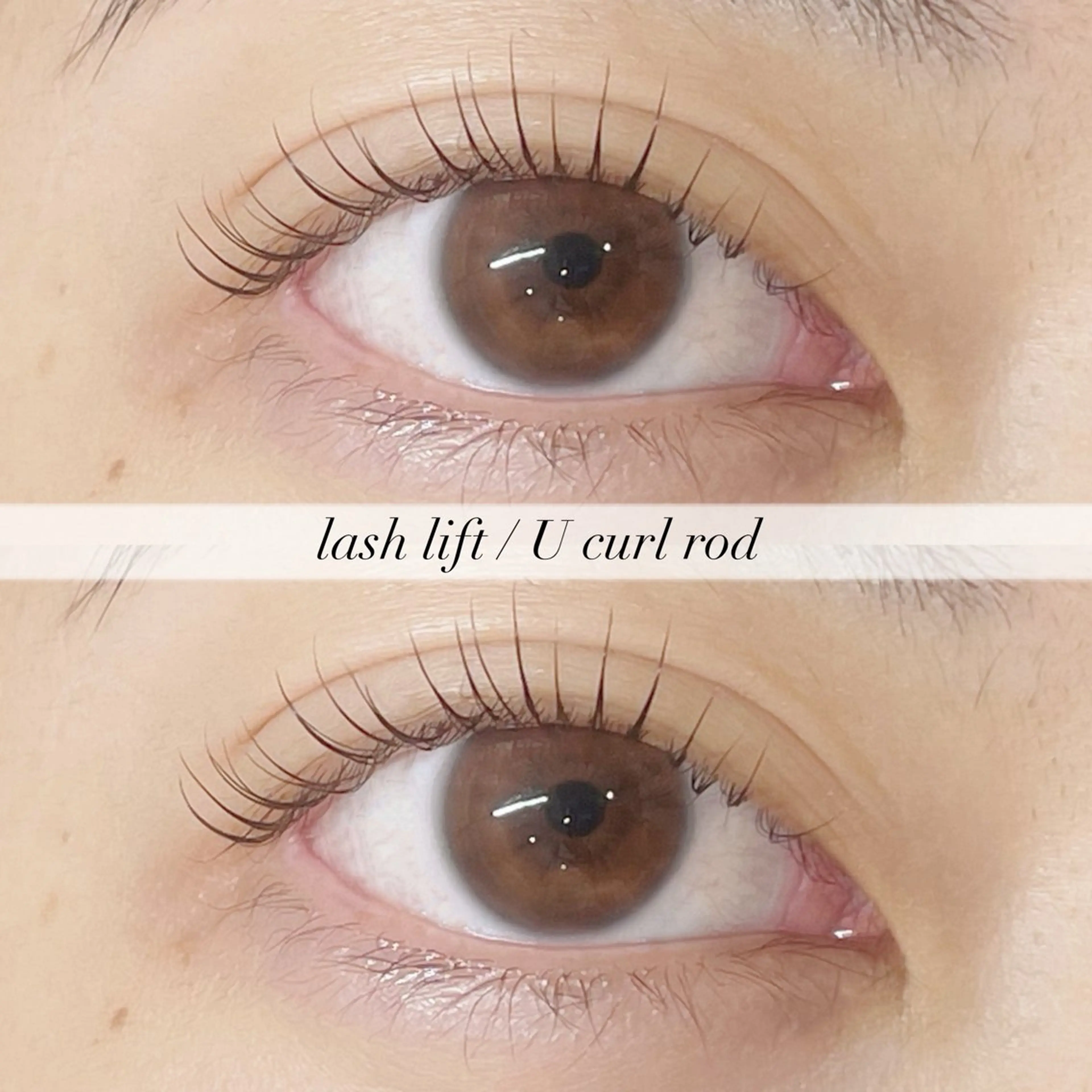 【女性人気No.1】まつげパーマ🎀の写真