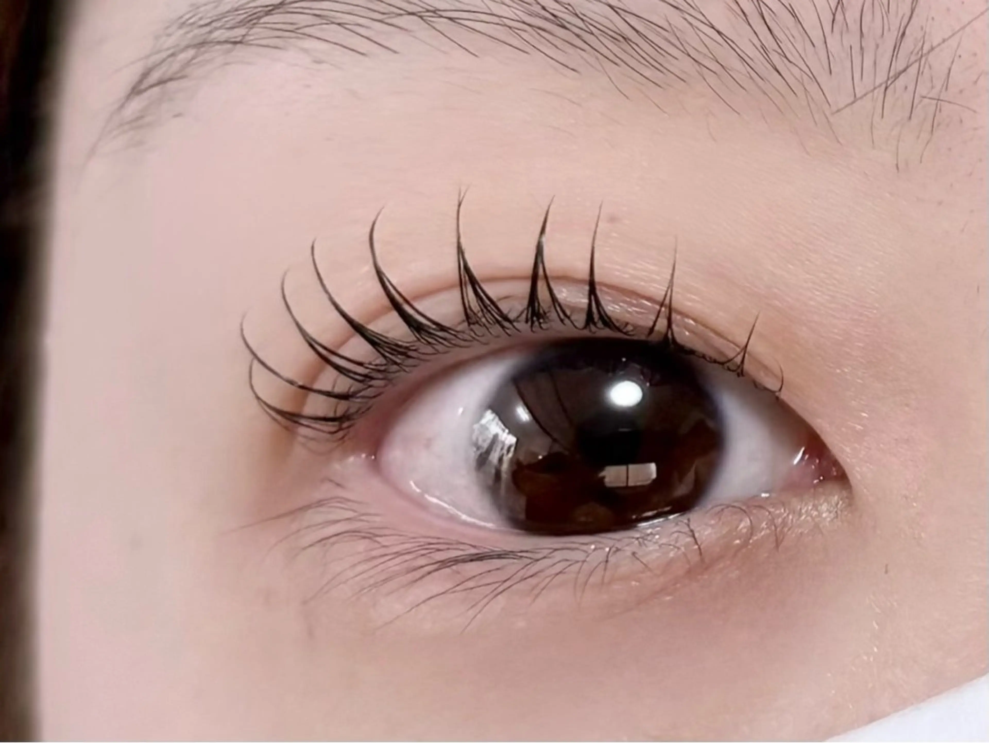 🌼ラッシュリフト/まつ毛パーマ6,600円→5,500円の写真