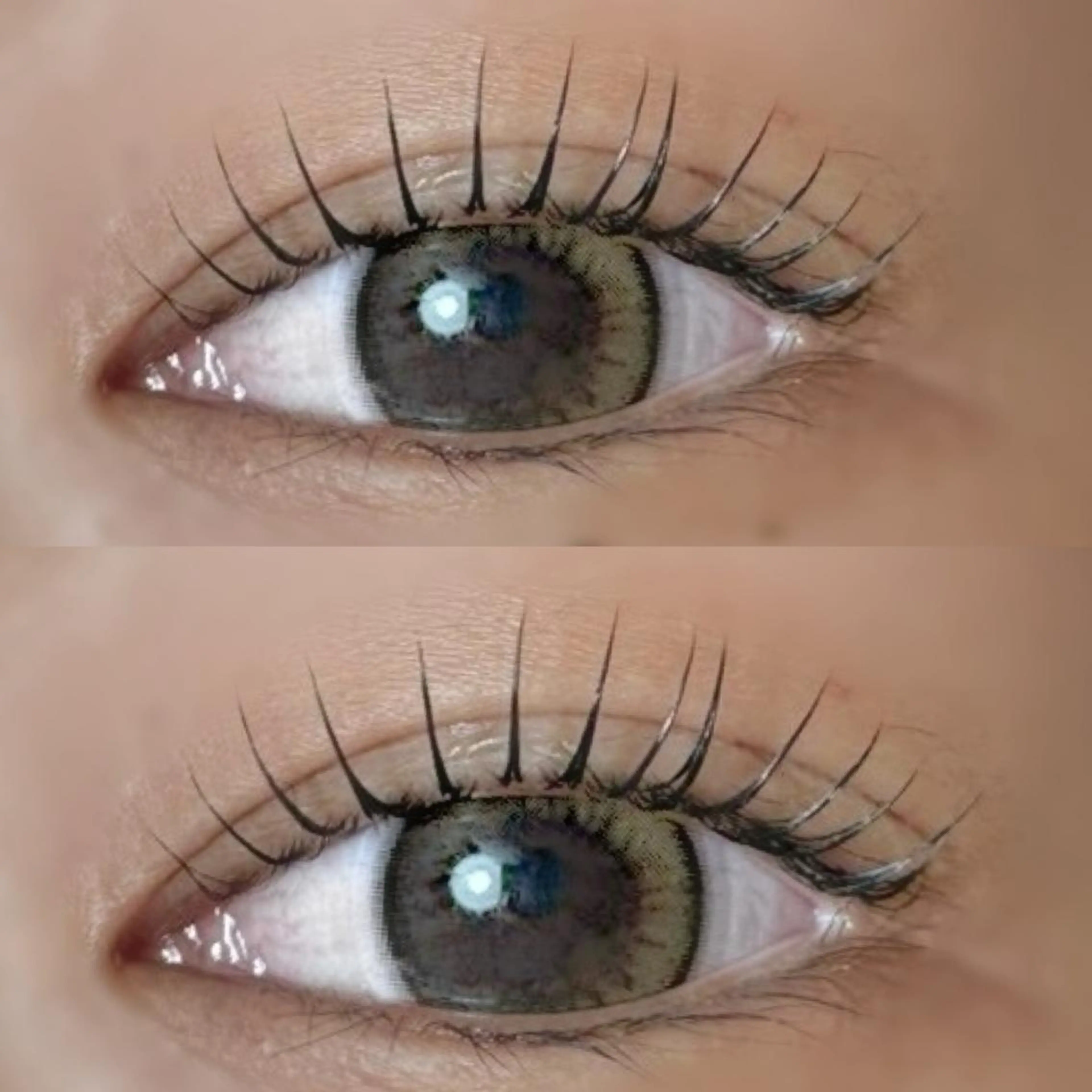 立ち上げカールデザイン💖ラッシュリフト(まつ毛パーマ)🫧の写真