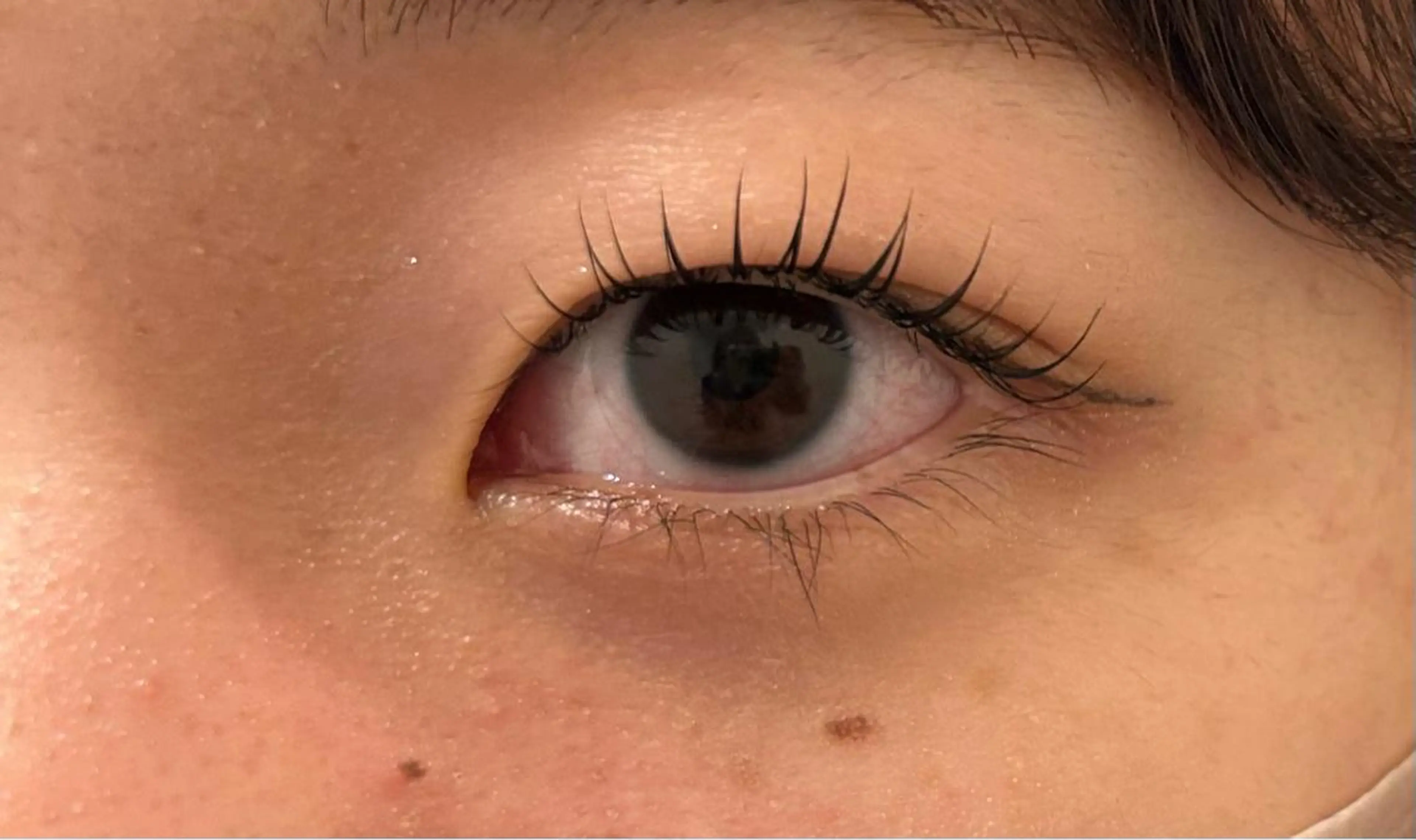 パーマ ニコットラッシュ 京橋店のマツエク・マツパデザイン