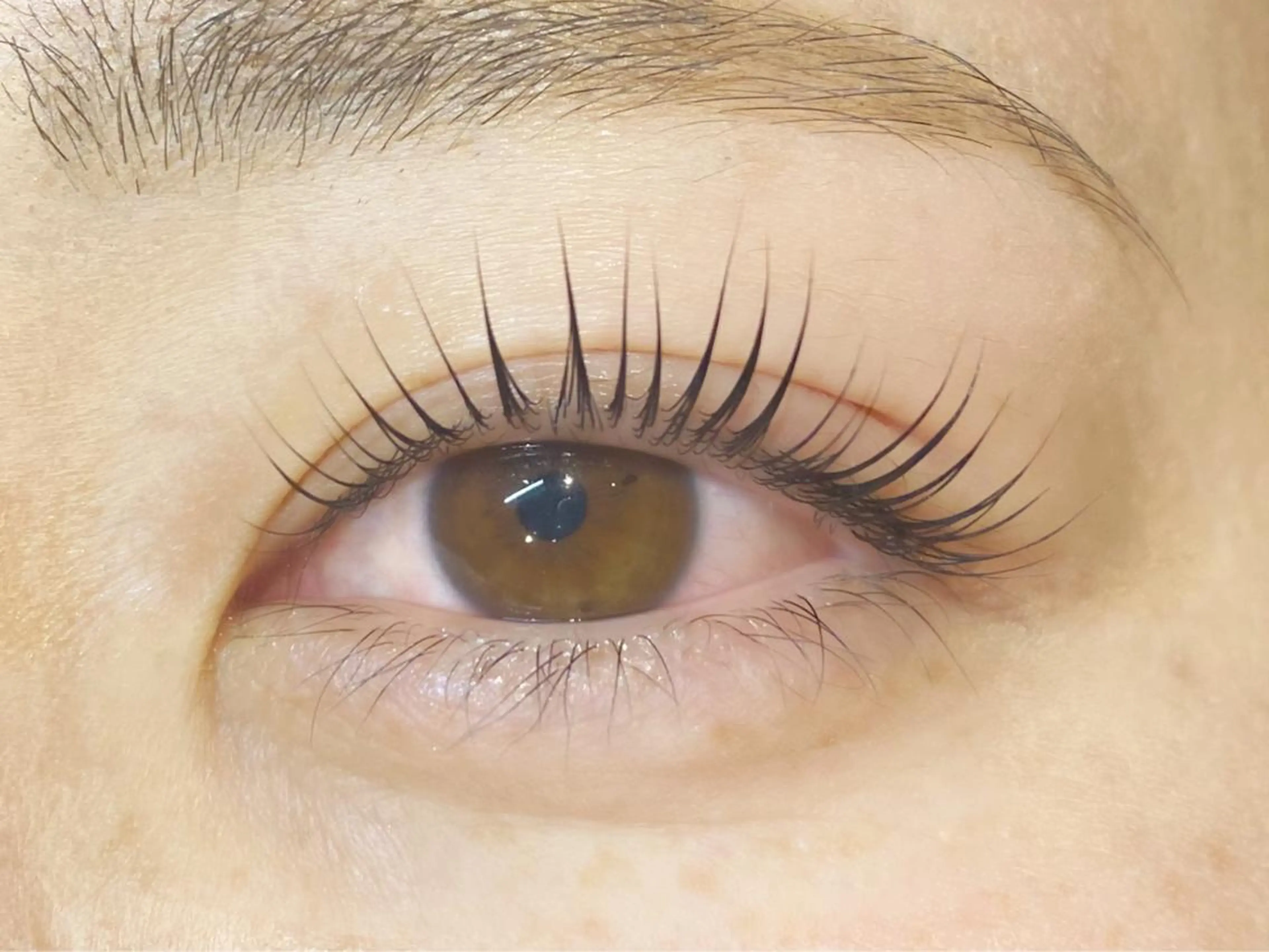 マツエク・マツパ Girasol所属・Girasol ヒラソルのマツエク・マツパデザイン