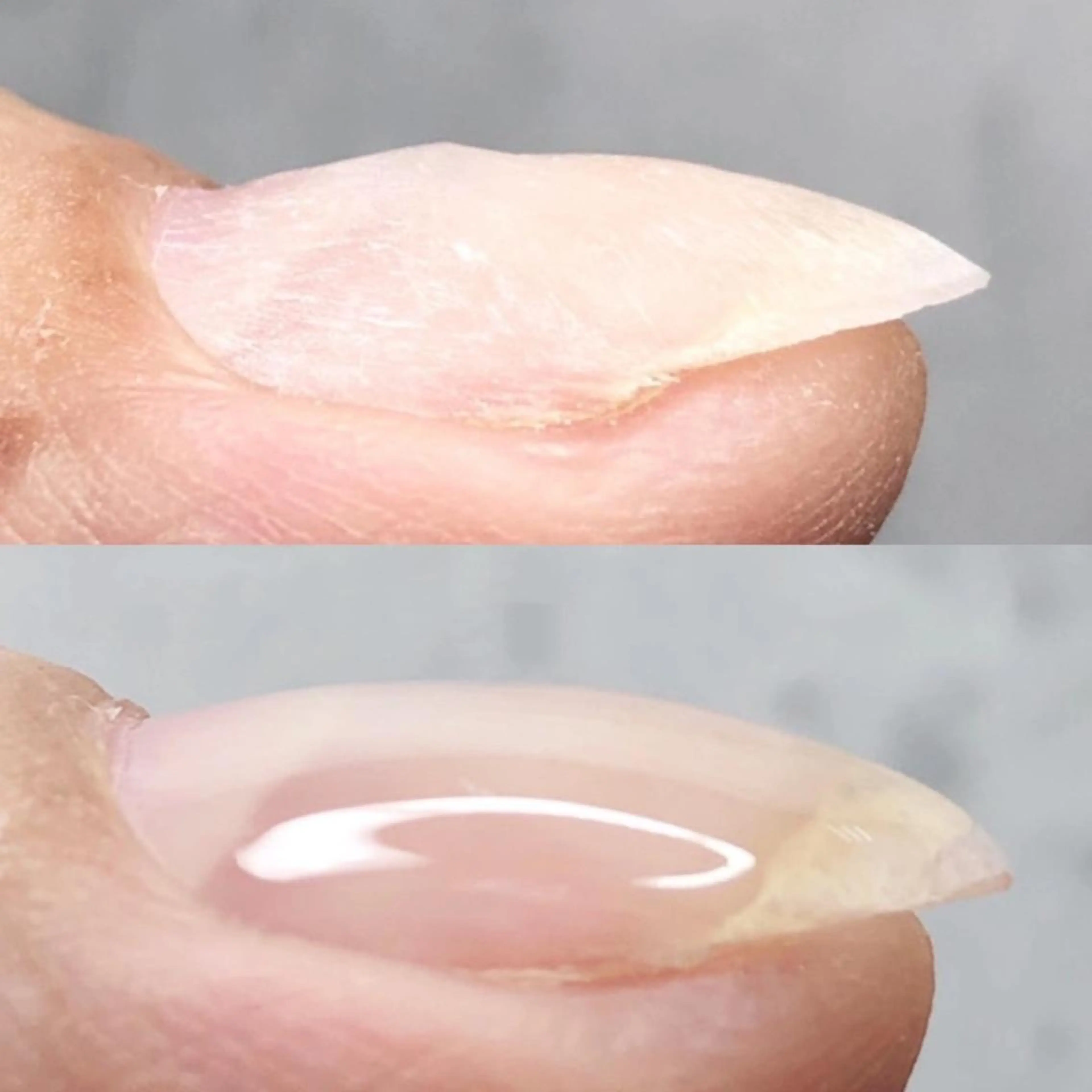 ロング カラー ネイル Q Free nailsのネイルデザイン