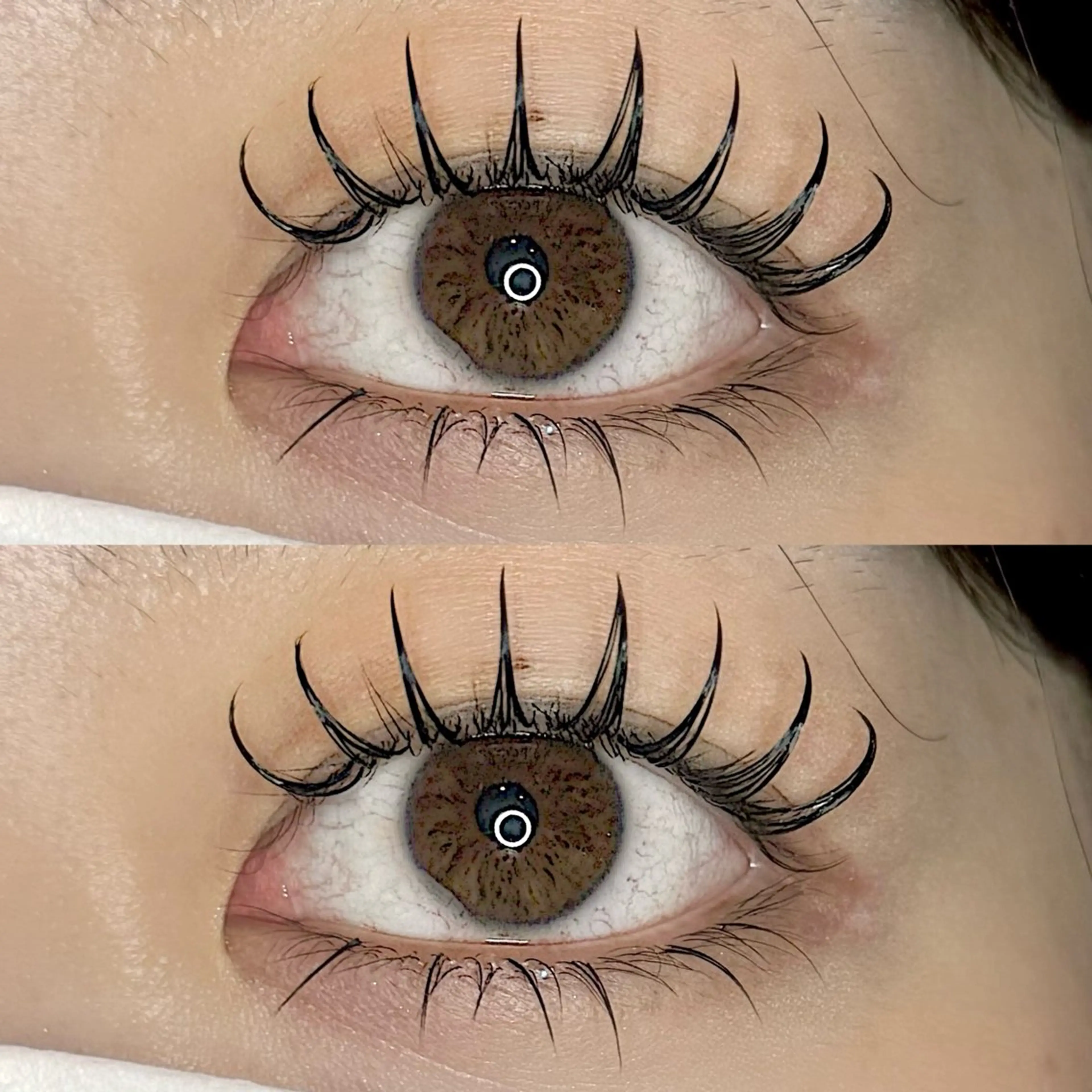 マツエク・マツパ CINDY【シンディ】大井町店所属・Cindy  大井町 🩶 asakaのマツエク・マツパデザイン