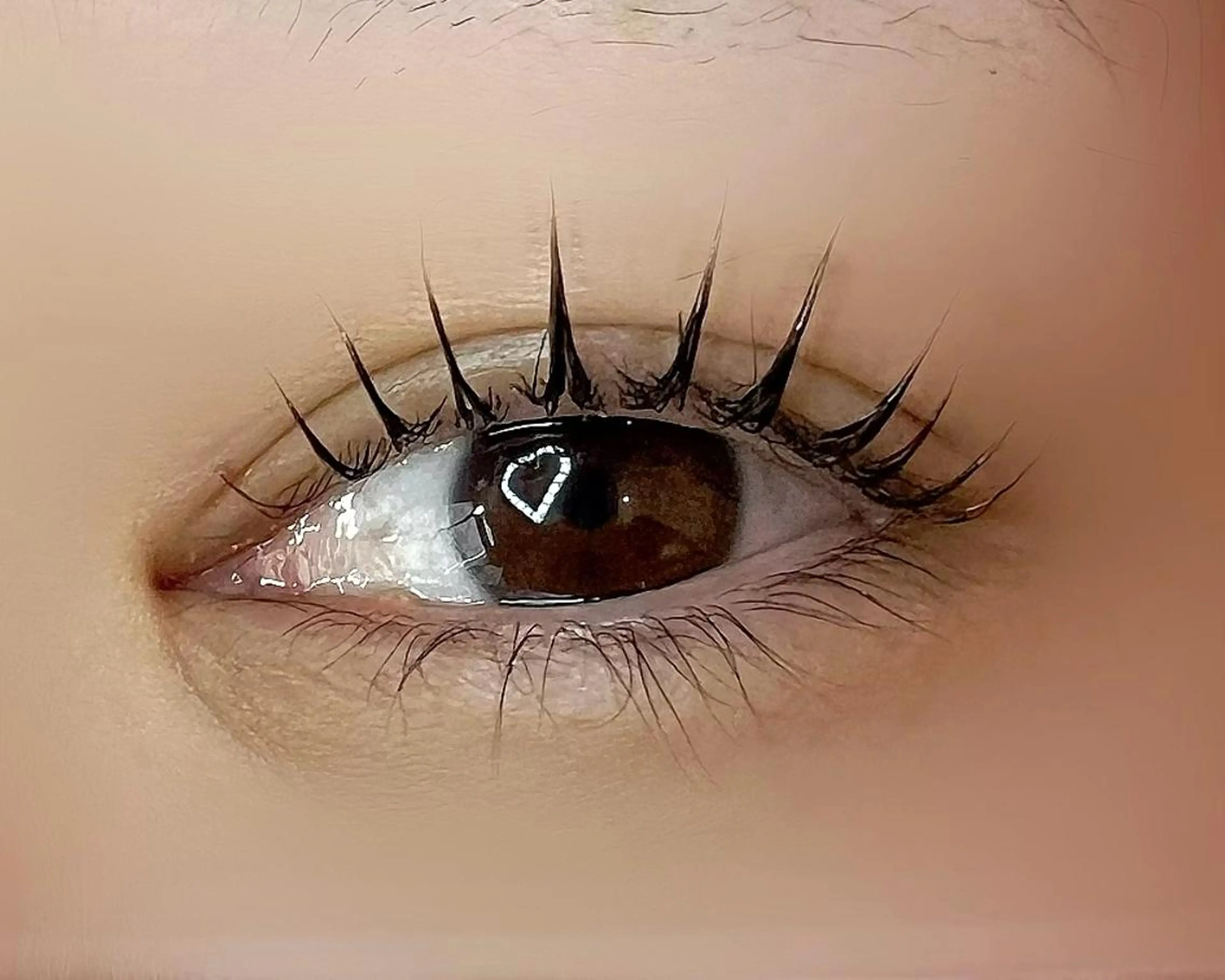 マツエク・マツパ ケラチンラッシュリフト Celeste Venus所属・🧸Celeste Venusのマツエク・マツパデザイン