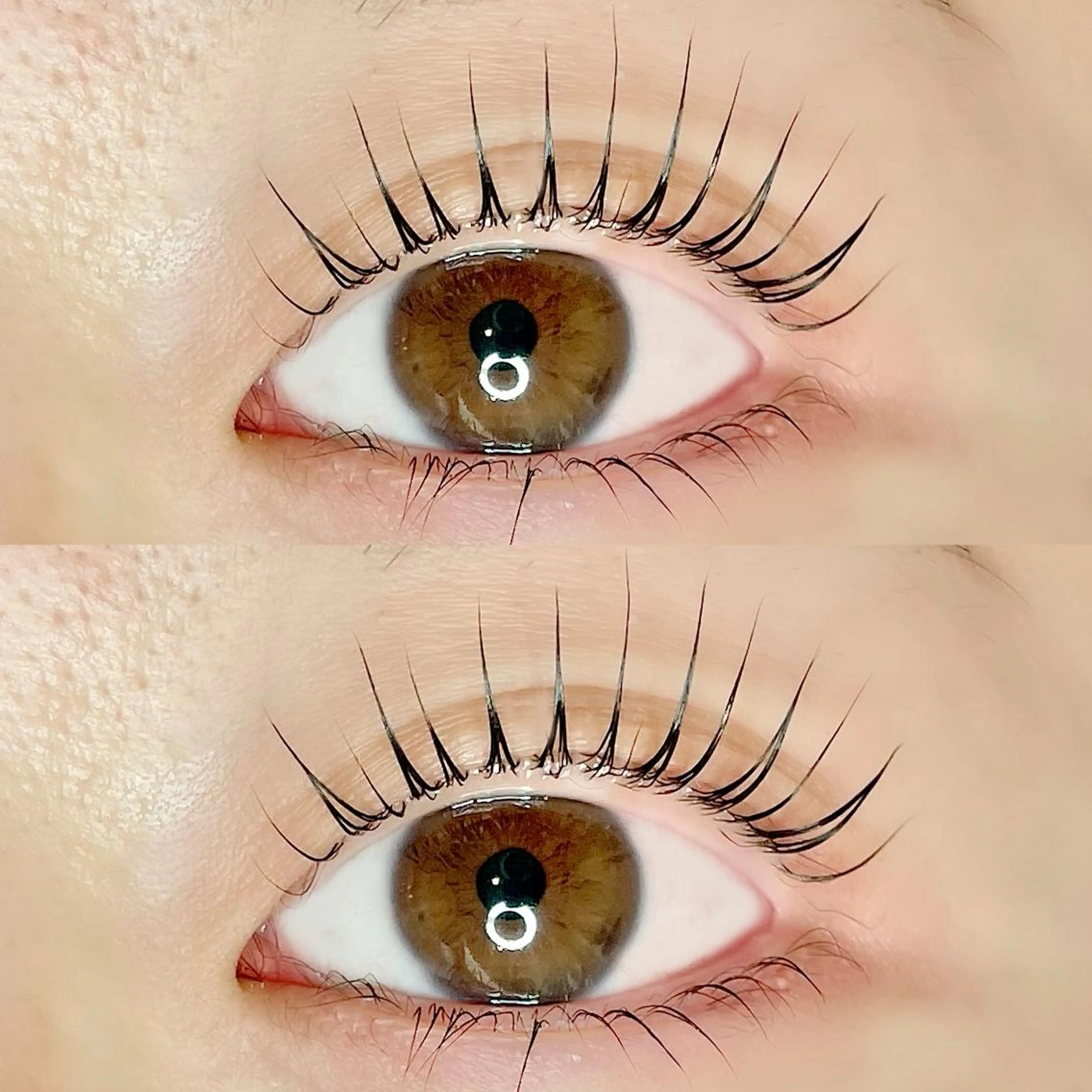 マツエク・マツパ AYLASH🧡 猪又のマツエク・マツパデザイン