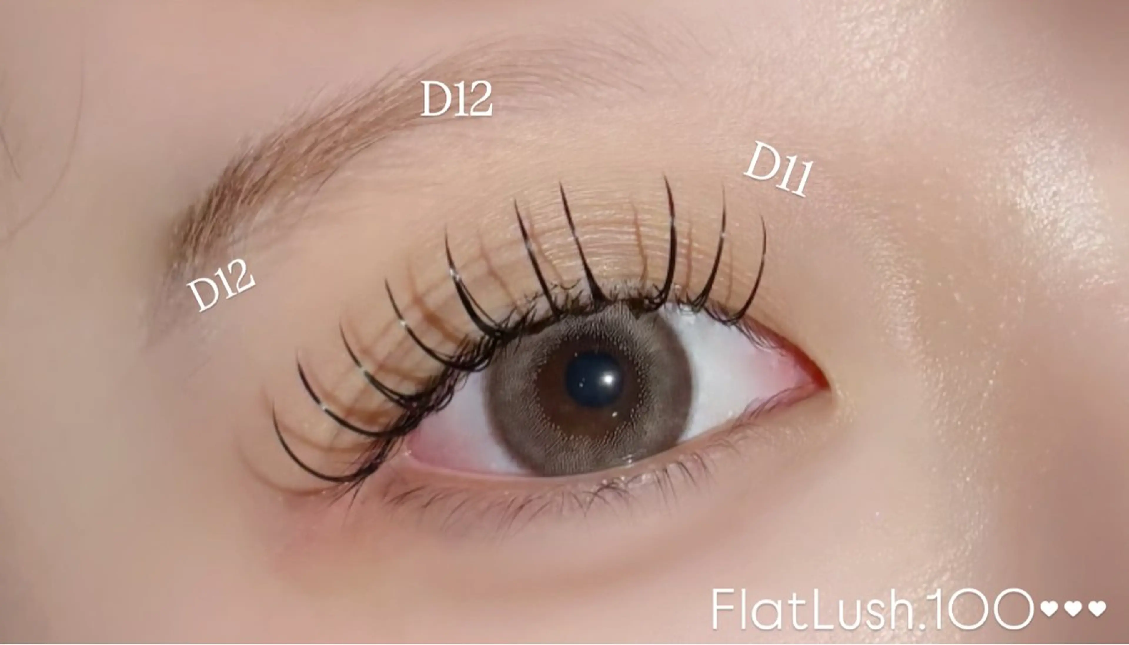 フラットラッシュ〜120本の写真