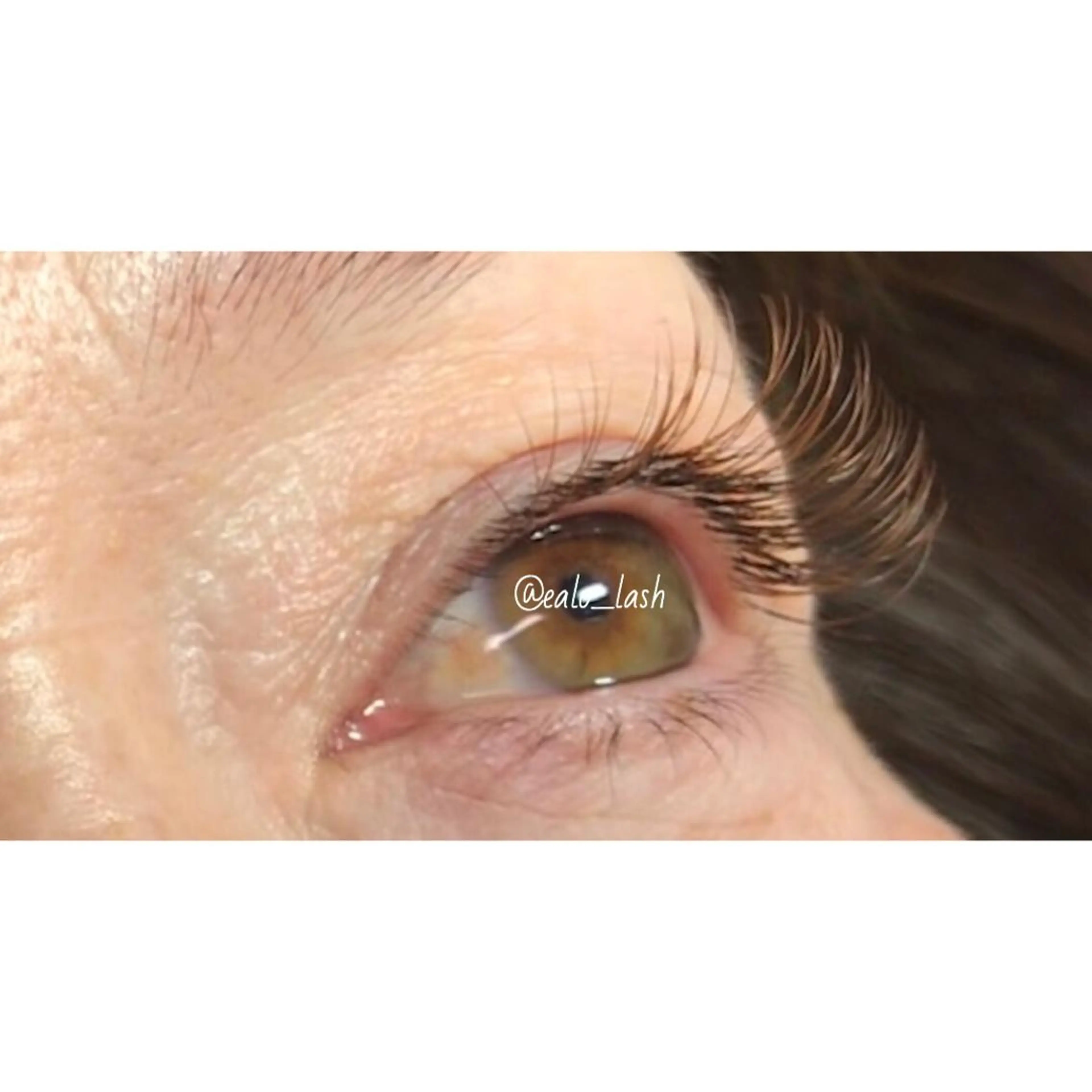 《新規》オールブラウン120本の写真