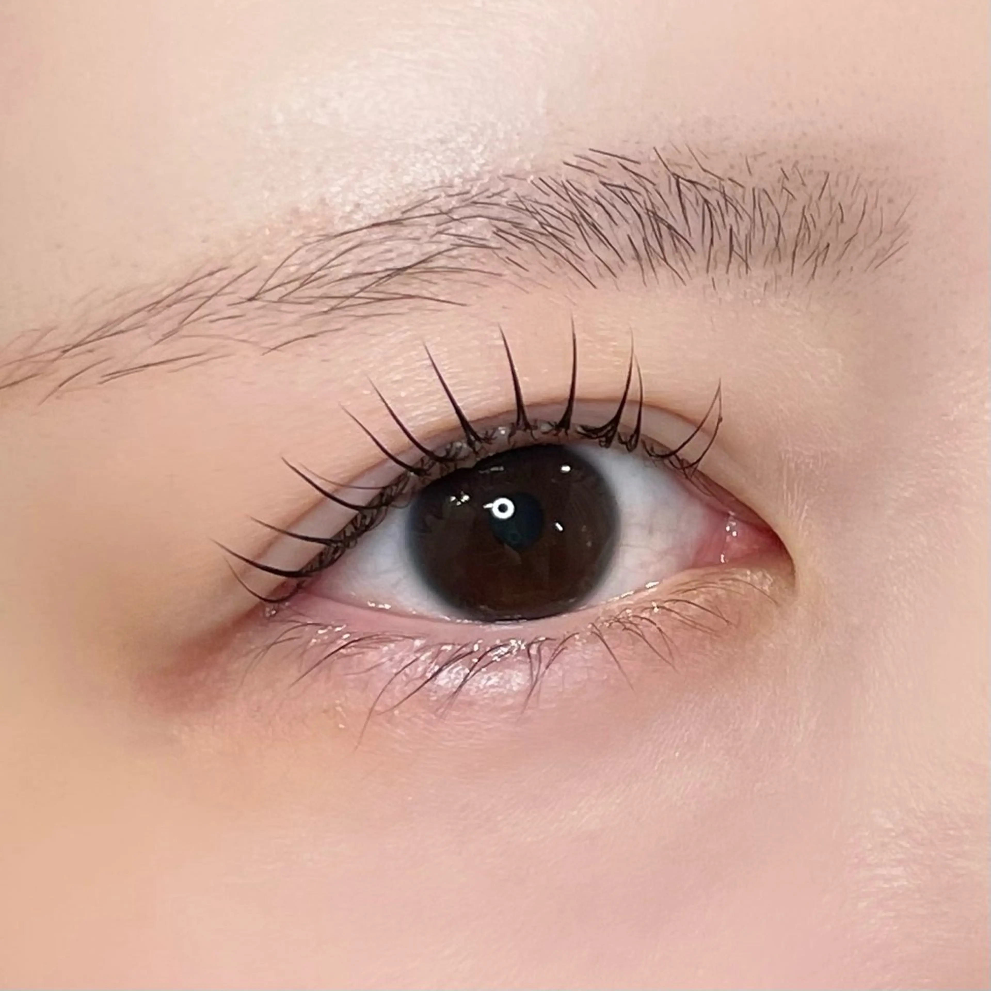 マツエク・マツパ まつげパーマ マツパ Lib 金沢店/ イワイ コハルのマツエク・マツパデザイン