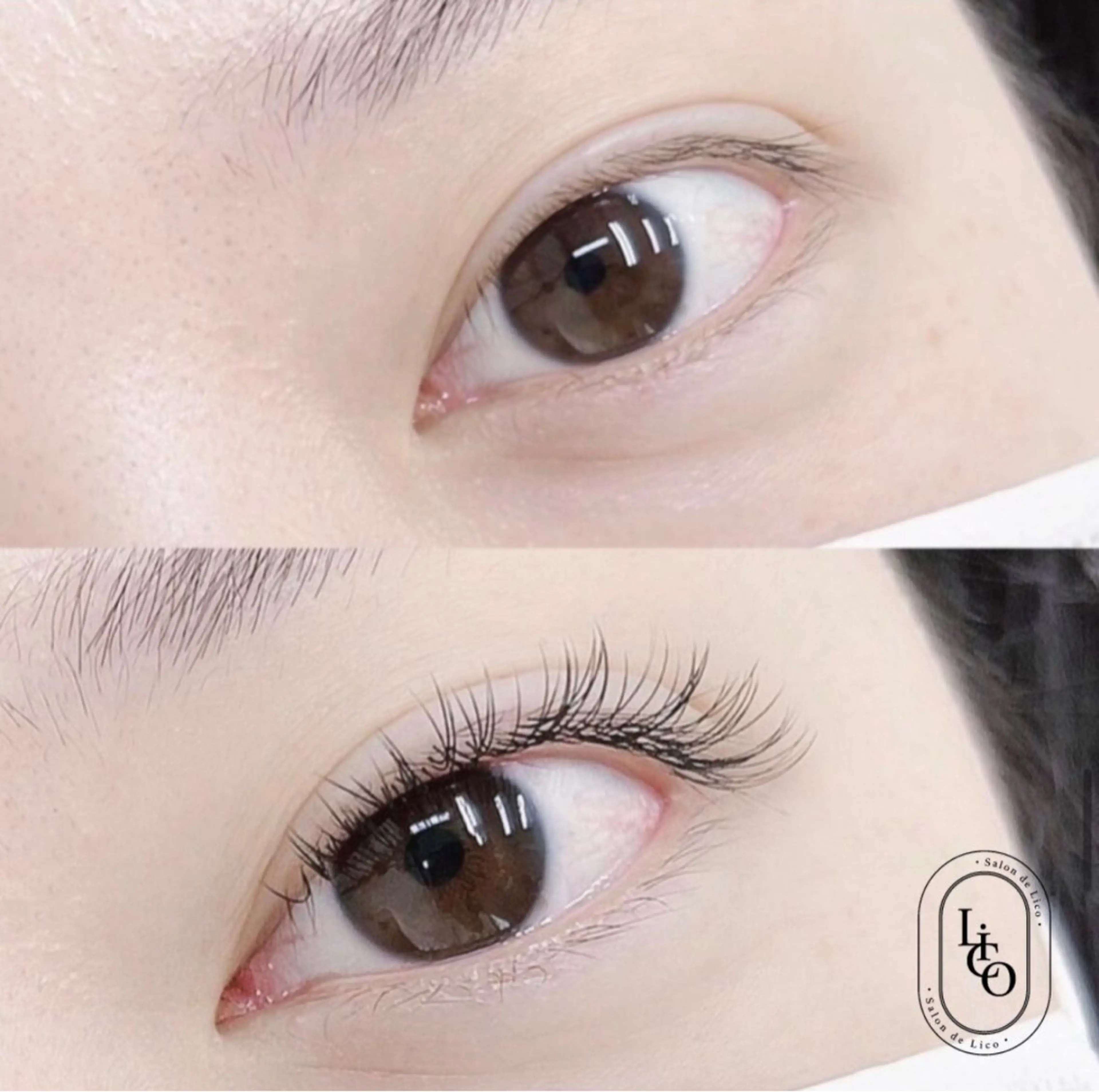 フラットラッシュ120本の写真