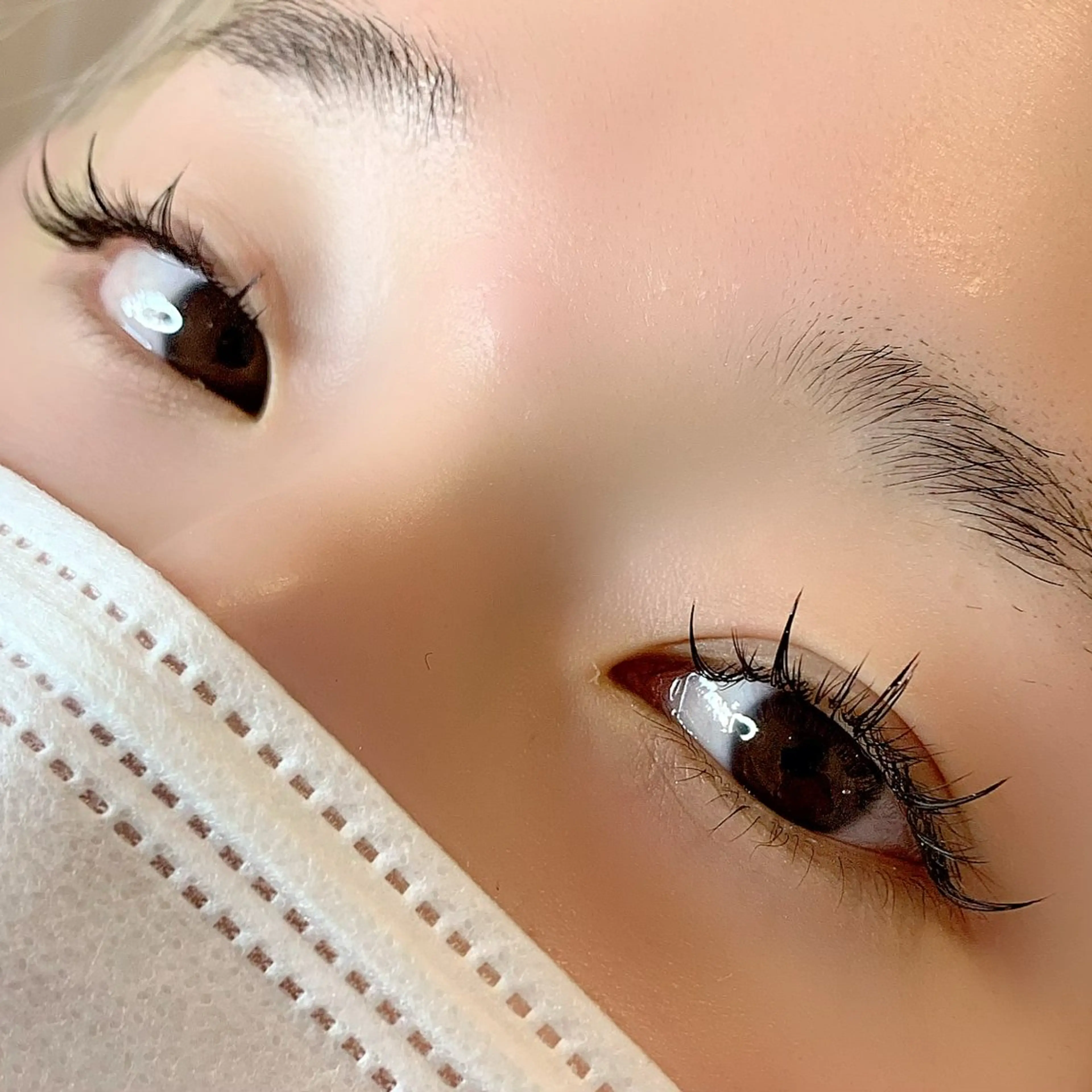 マツエク・マツパ ワンホンマツエク AYLASH石川 韓国風/カラエクのマツエク・マツパデザイン