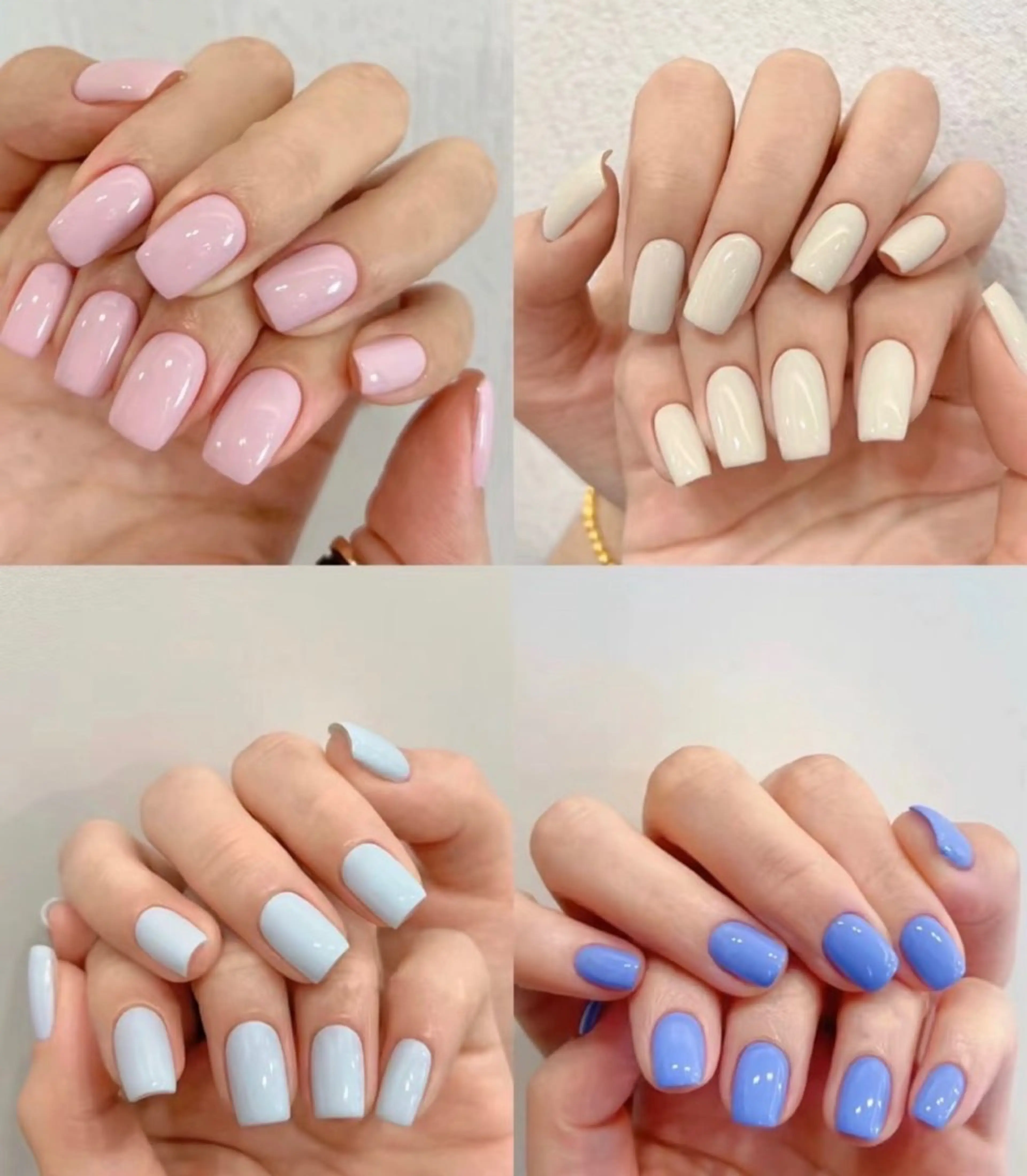 🍒 ワンカラーの写真