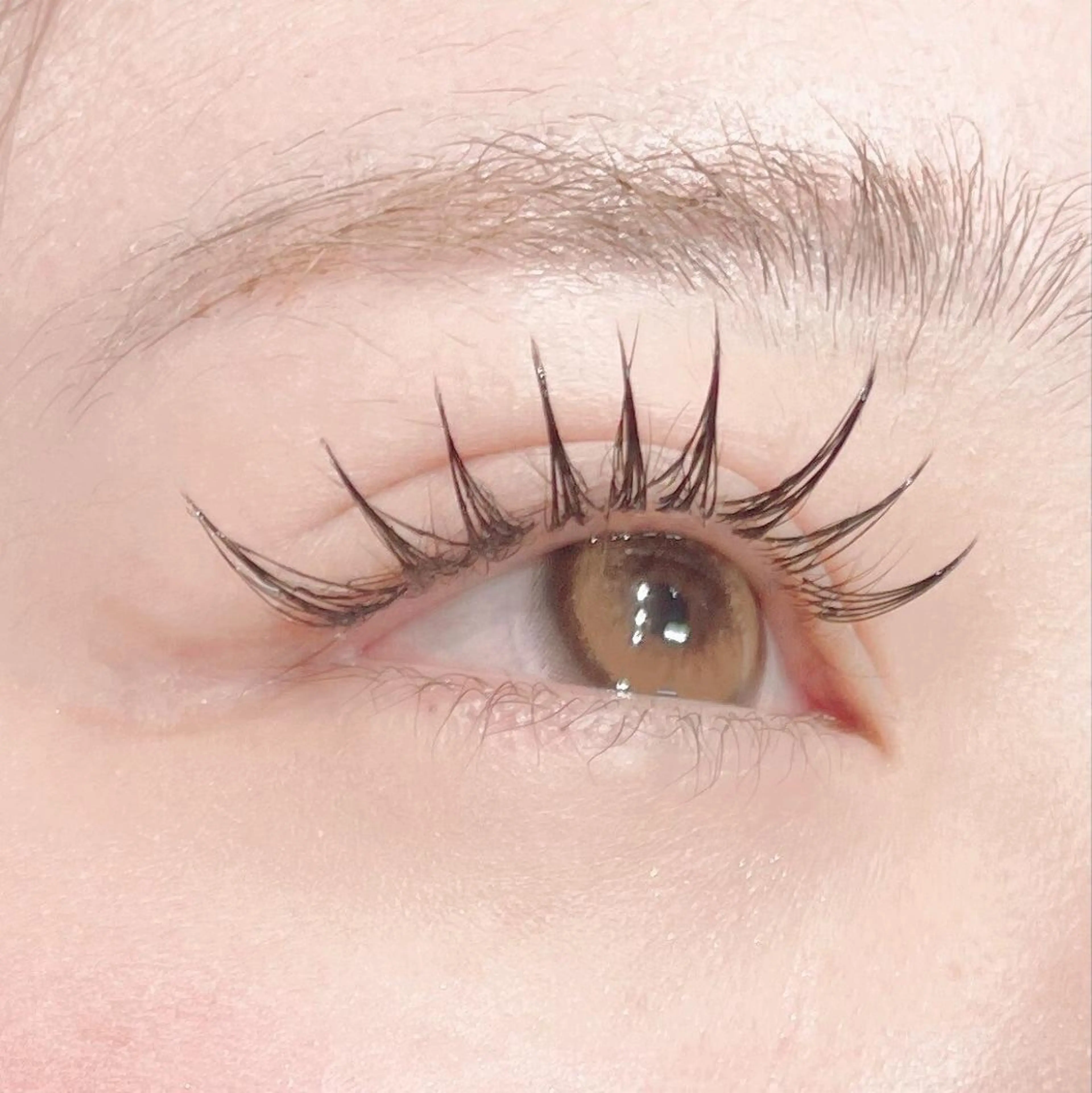 マツエク・マツパ セレナ銀座 アイリストのマツエク・マツパデザイン