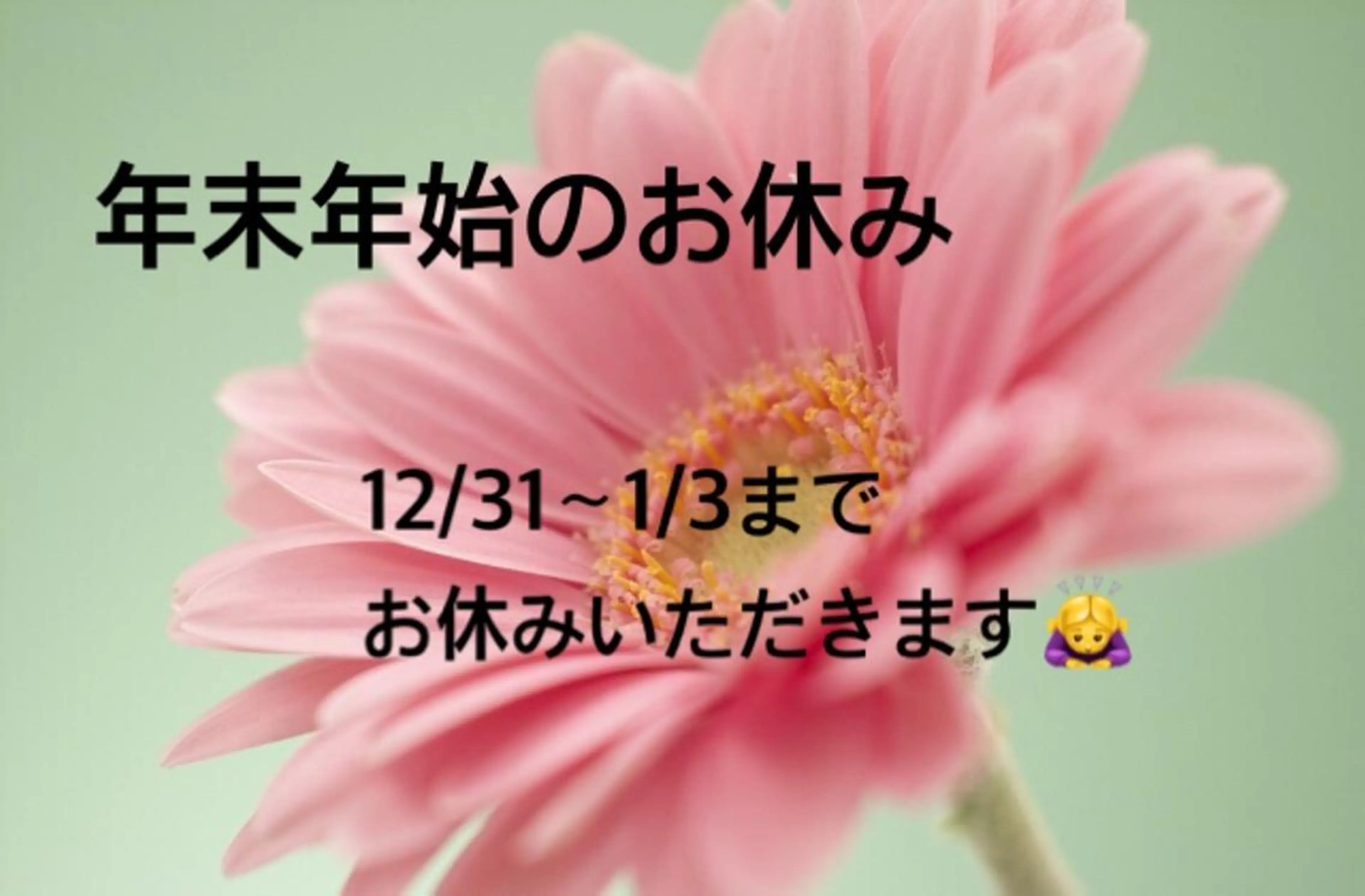 ヨサパークルル 進化系よもぎ蒸しのエステ・リラクイメージ