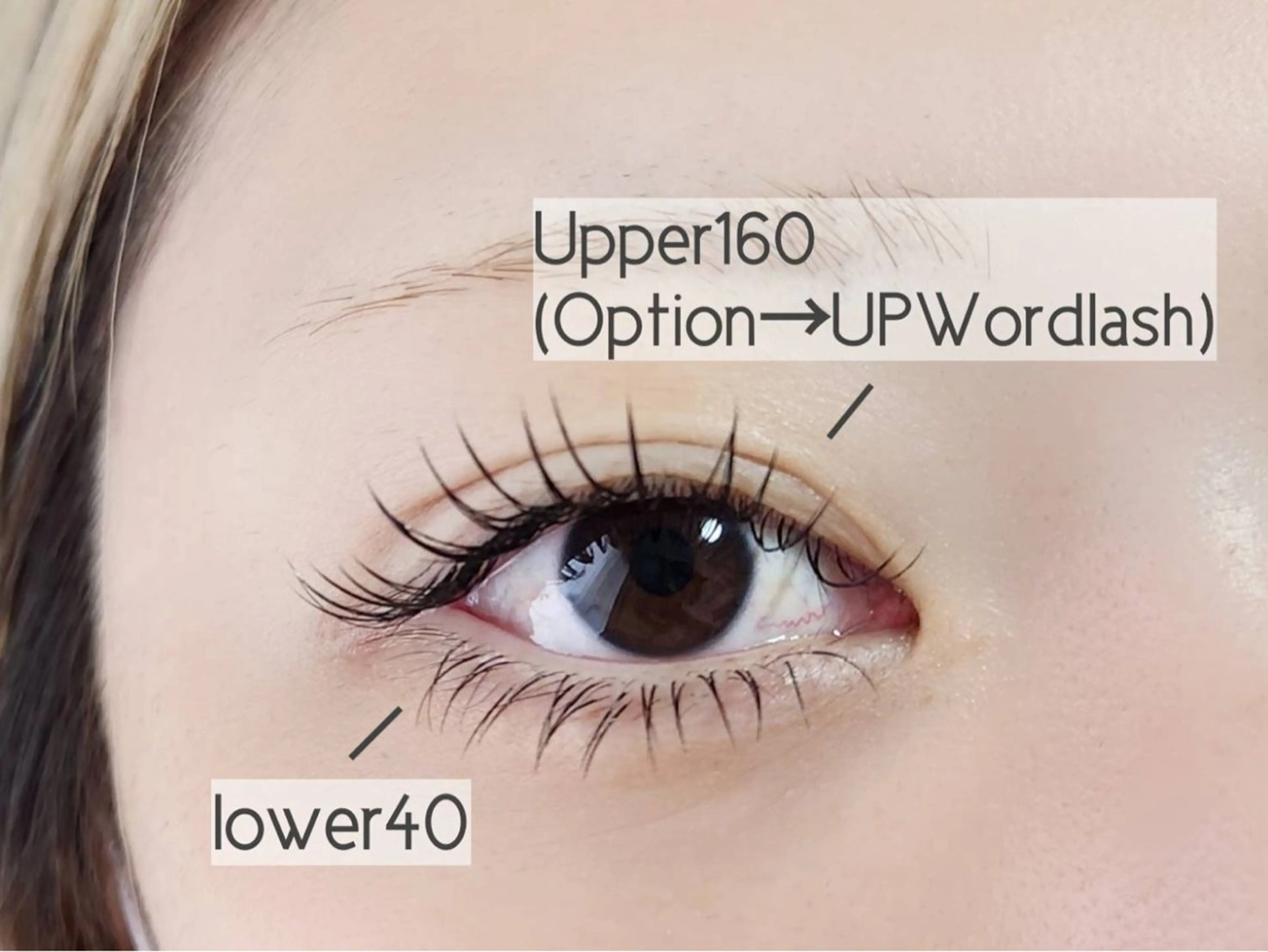 マツエク・マツパ 下まつげエクステ eyelash salon  Sifa所属・Sifa(シファ)2 0代向けまつげサロンのマツエク・マツパデザイン