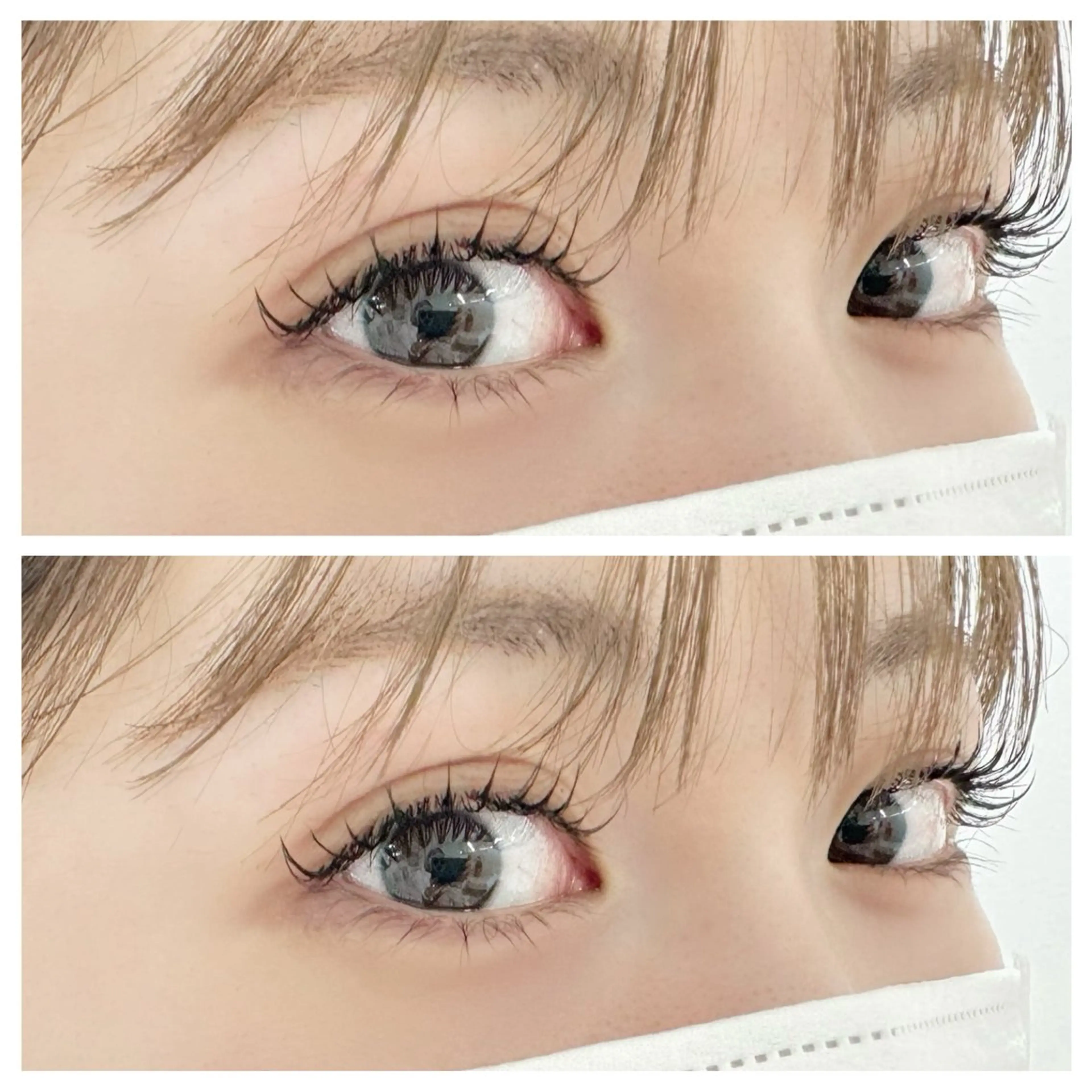 【OPEN特別価格】LEDダブルフラット60束 / 適度なボリューム感の写真