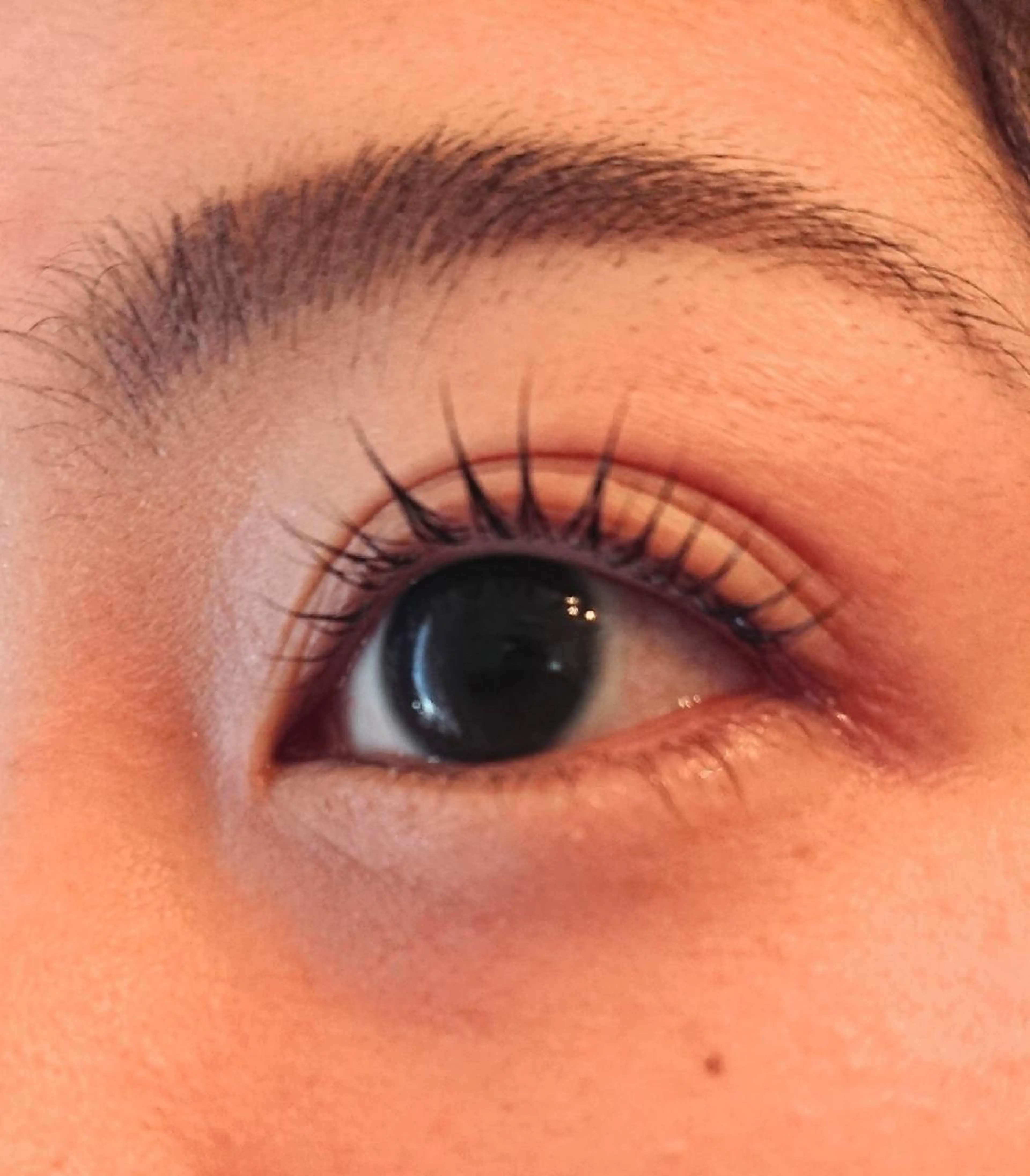 1/9〜12　4日間限定価格の写真