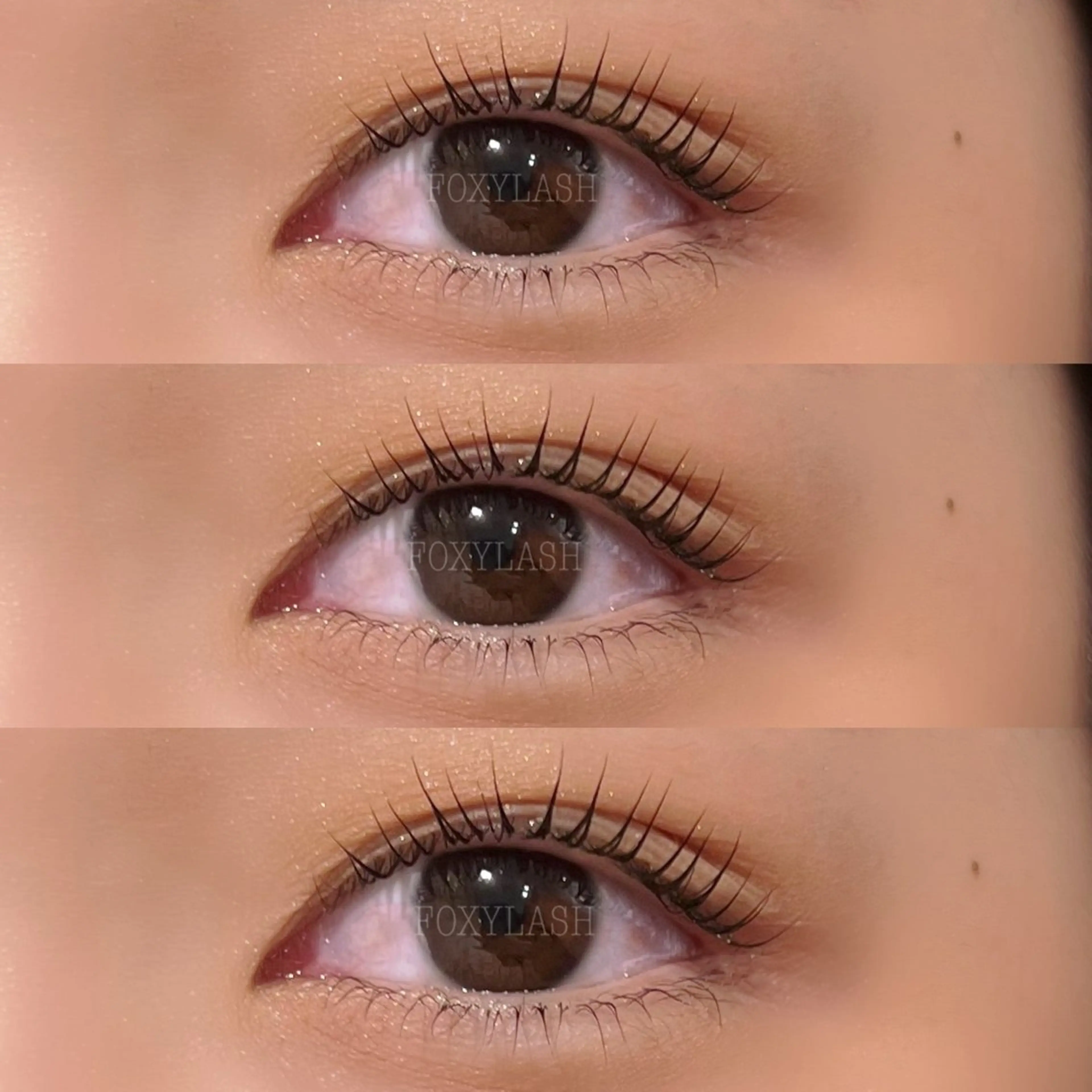 マツエク・マツパ パリジェンヌラッシュリフト マツパ FOXYLASH難波 kitamuraのマツエク・マツパデザイン