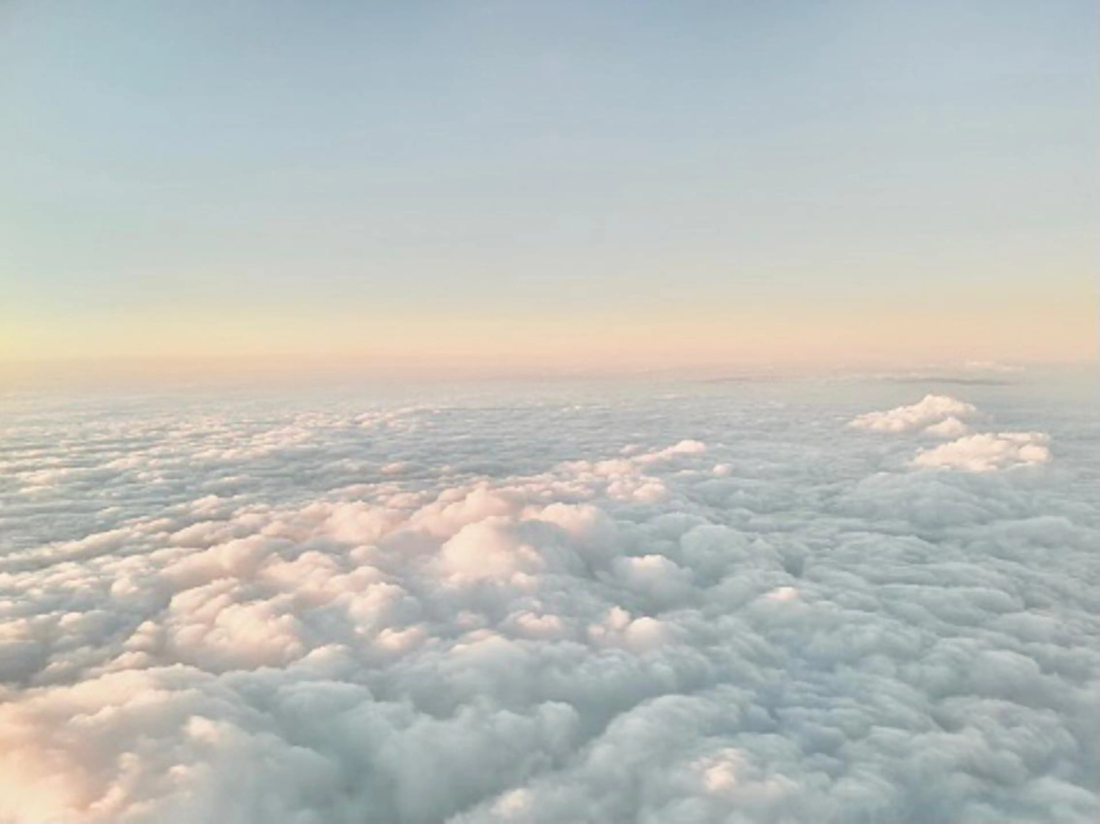 ミディアム カラー カット ヘアカラー トリートメント 似合わせカラー/艶 髪質改善/ヨシザキのヘアスタイル
