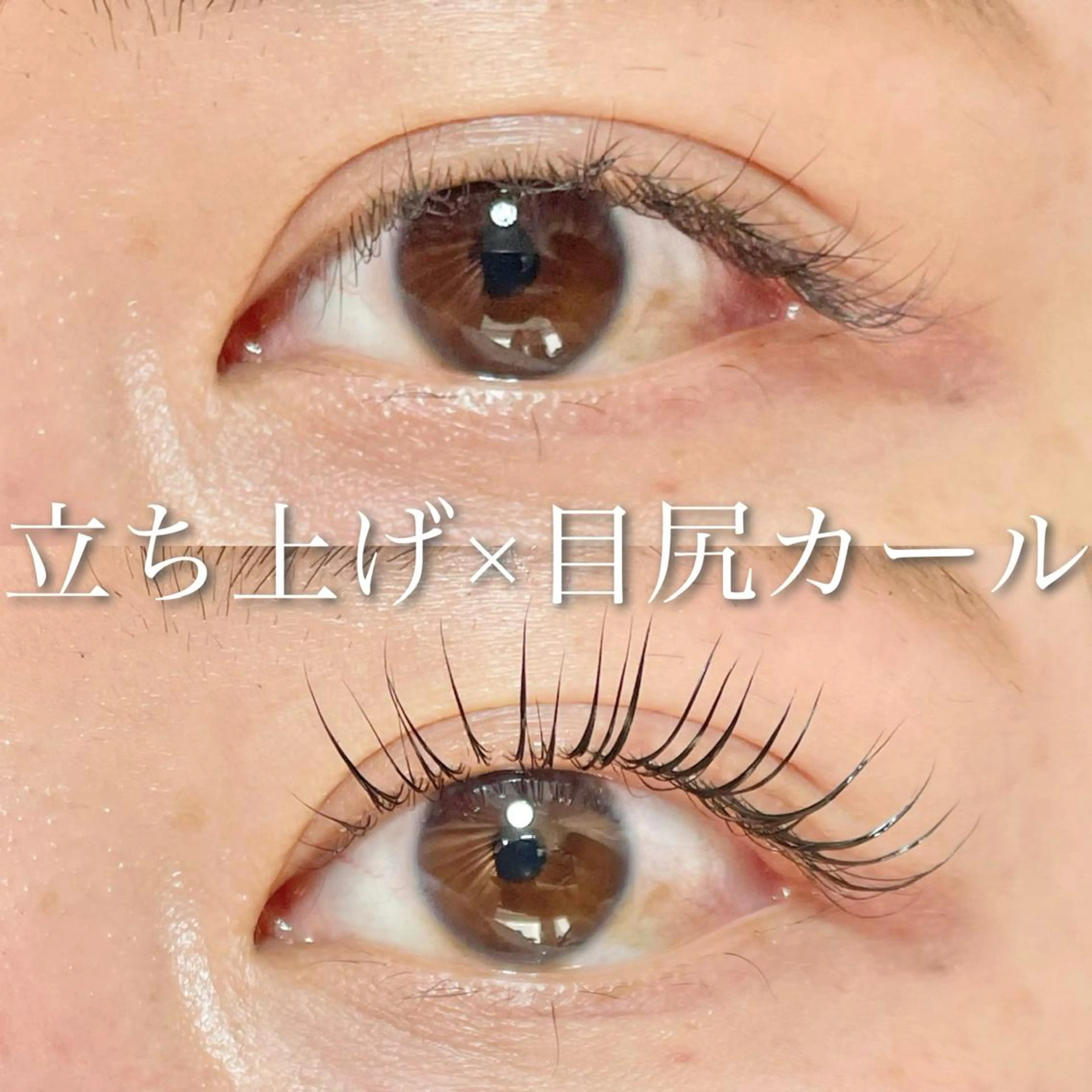 マツエク・マツパ eight eyelash池袋店のマツエク・マツパデザイン