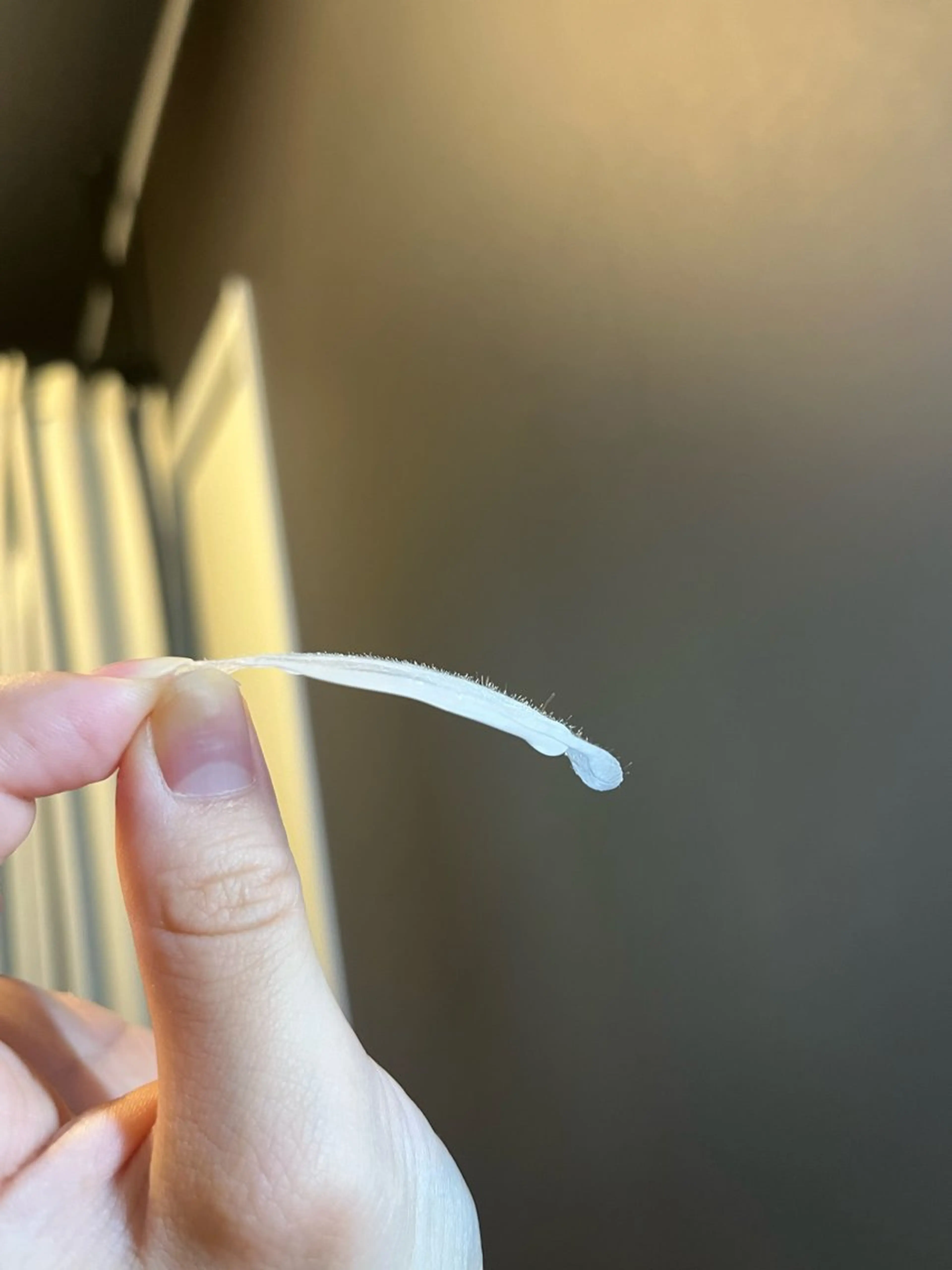 Oncebell. Bodymake&beautysalon所属・Oncebell. ワンベルのエステ・リラクイメージ