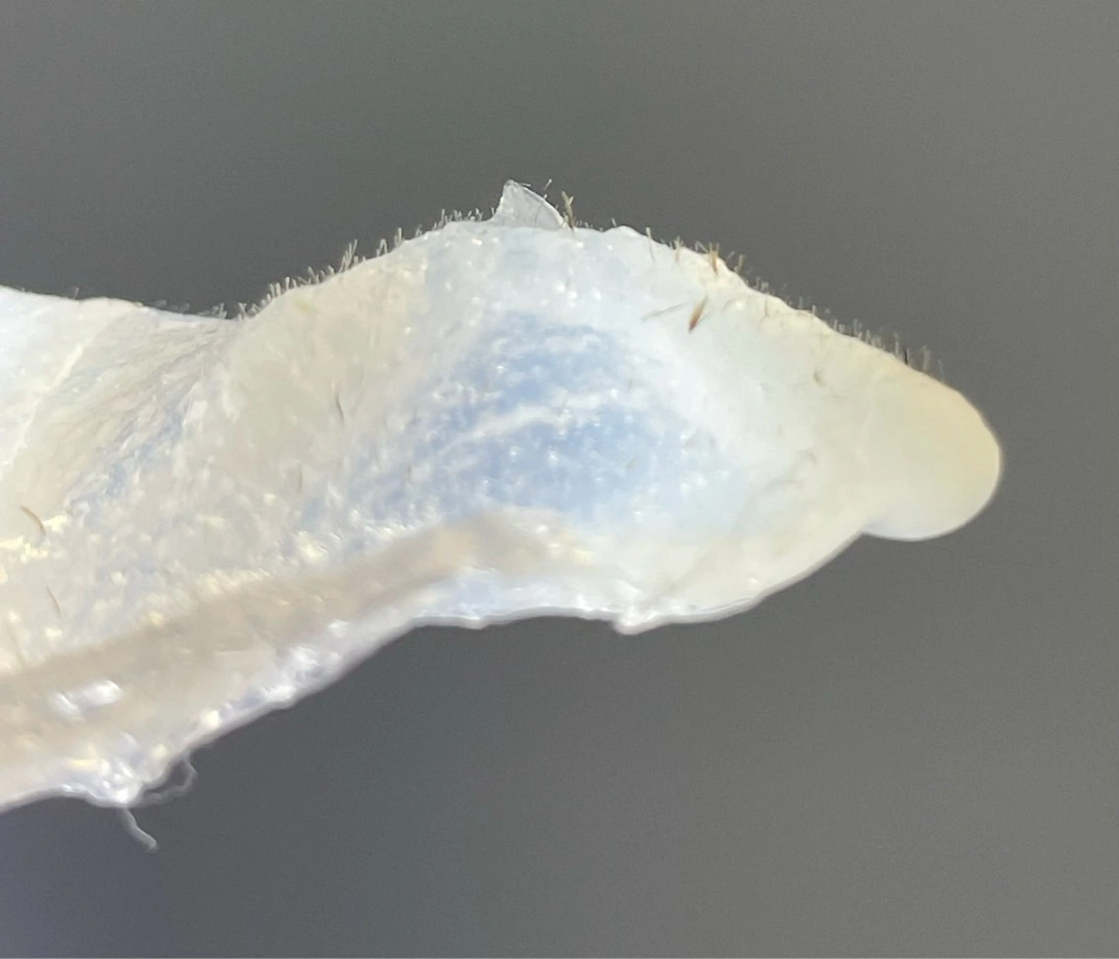 Salon de me'reのエステ・リラクイメージ