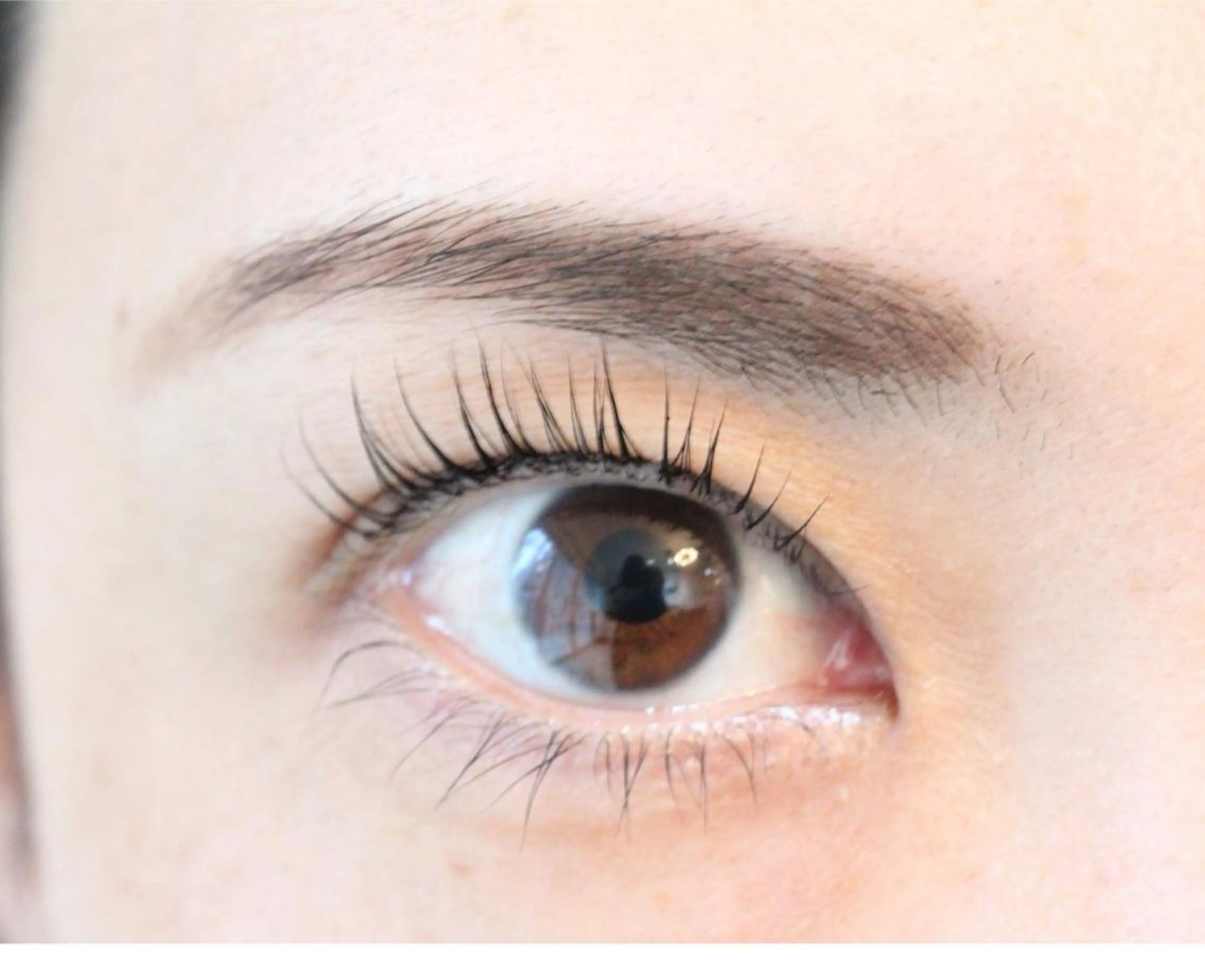 マツエク・マツパ サクラブロウ 池袋　店の眉毛・アイブロウイメージ