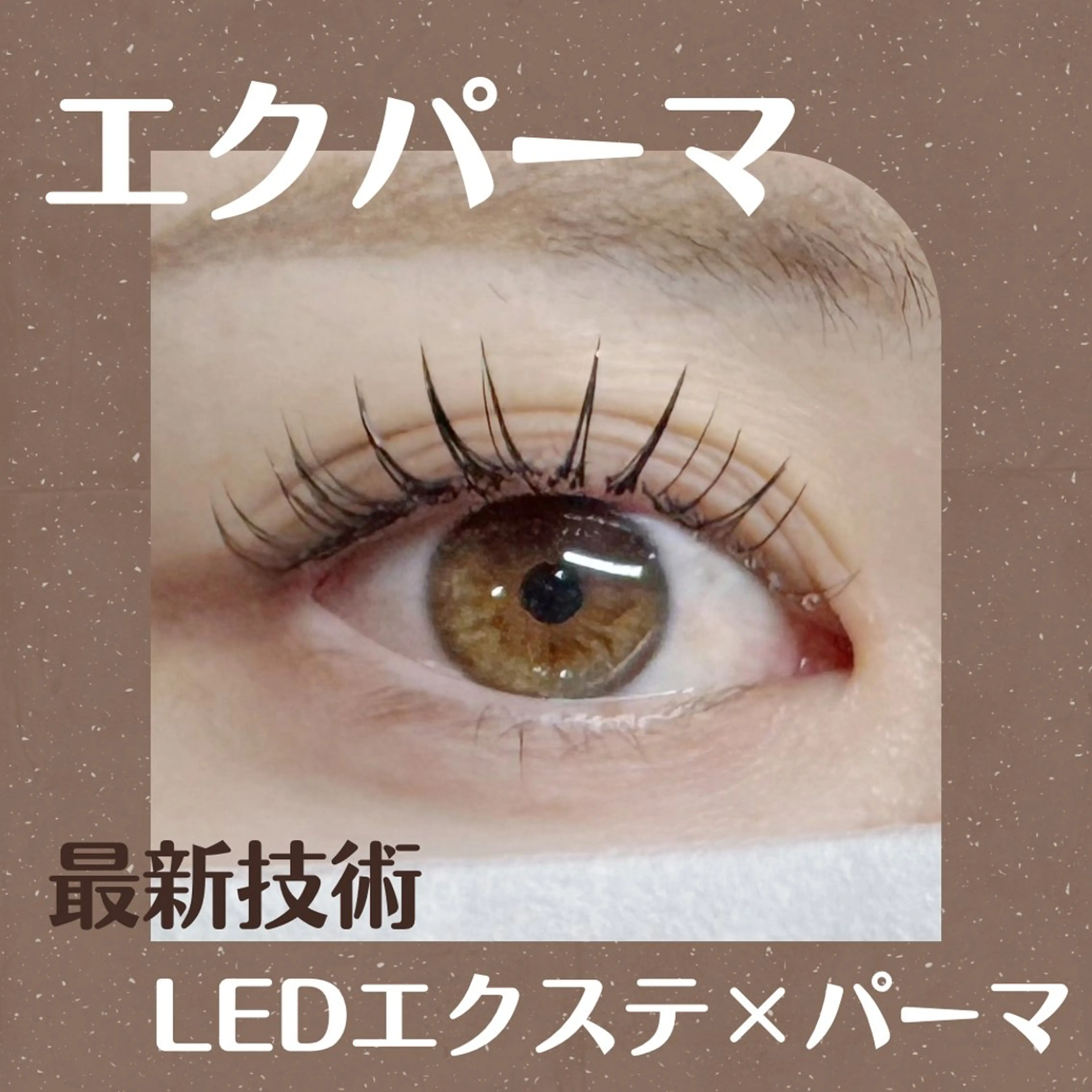 【大人女子トレンドエクパーマオフなし】LEDエクステ100本×まつ毛パーマ(平日)¥12,000(土日祝)¥12,500の写真