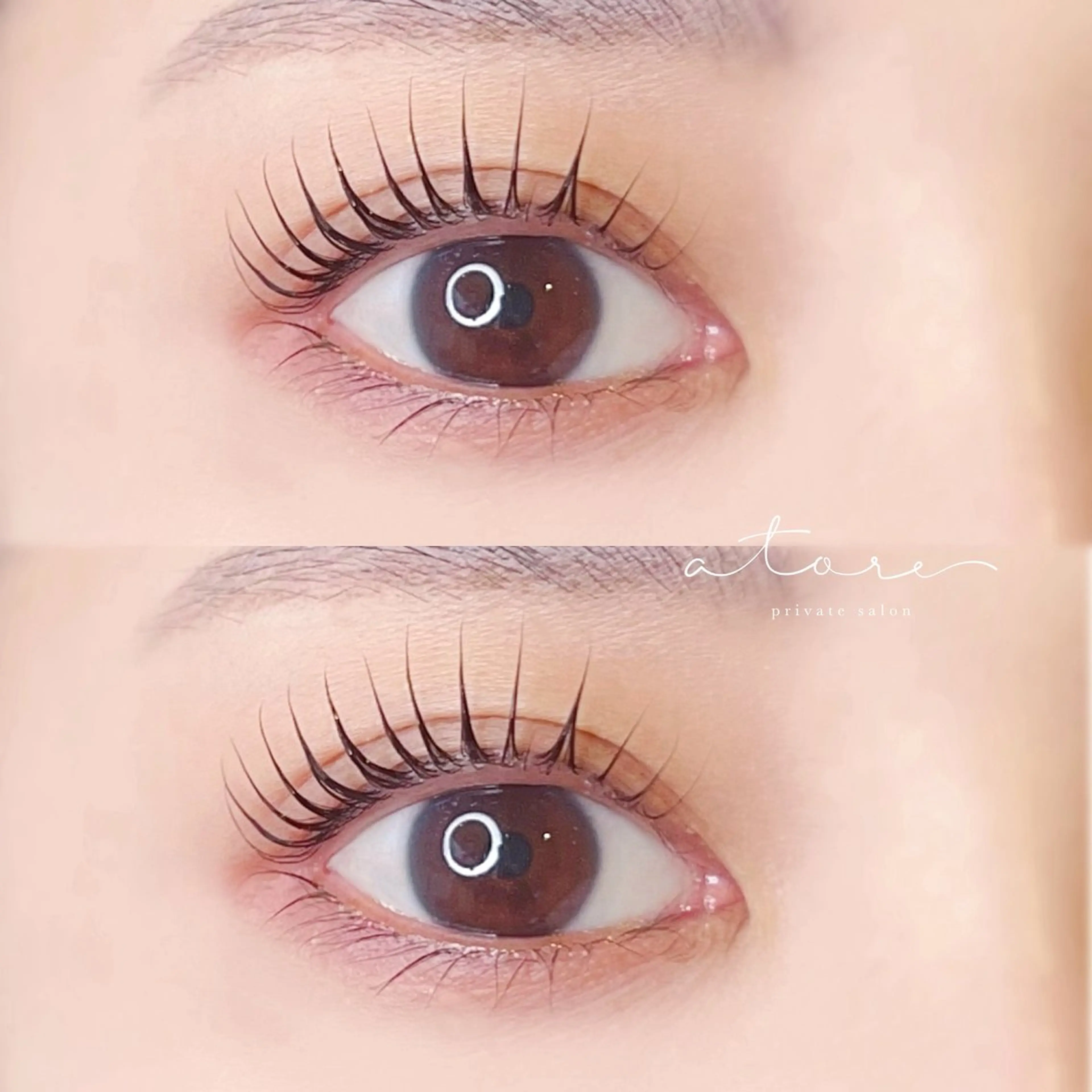 【限定】新ロッドお試し価格💐ラッシュリフトおまかせメニュー＊アイシャンプー付きの写真