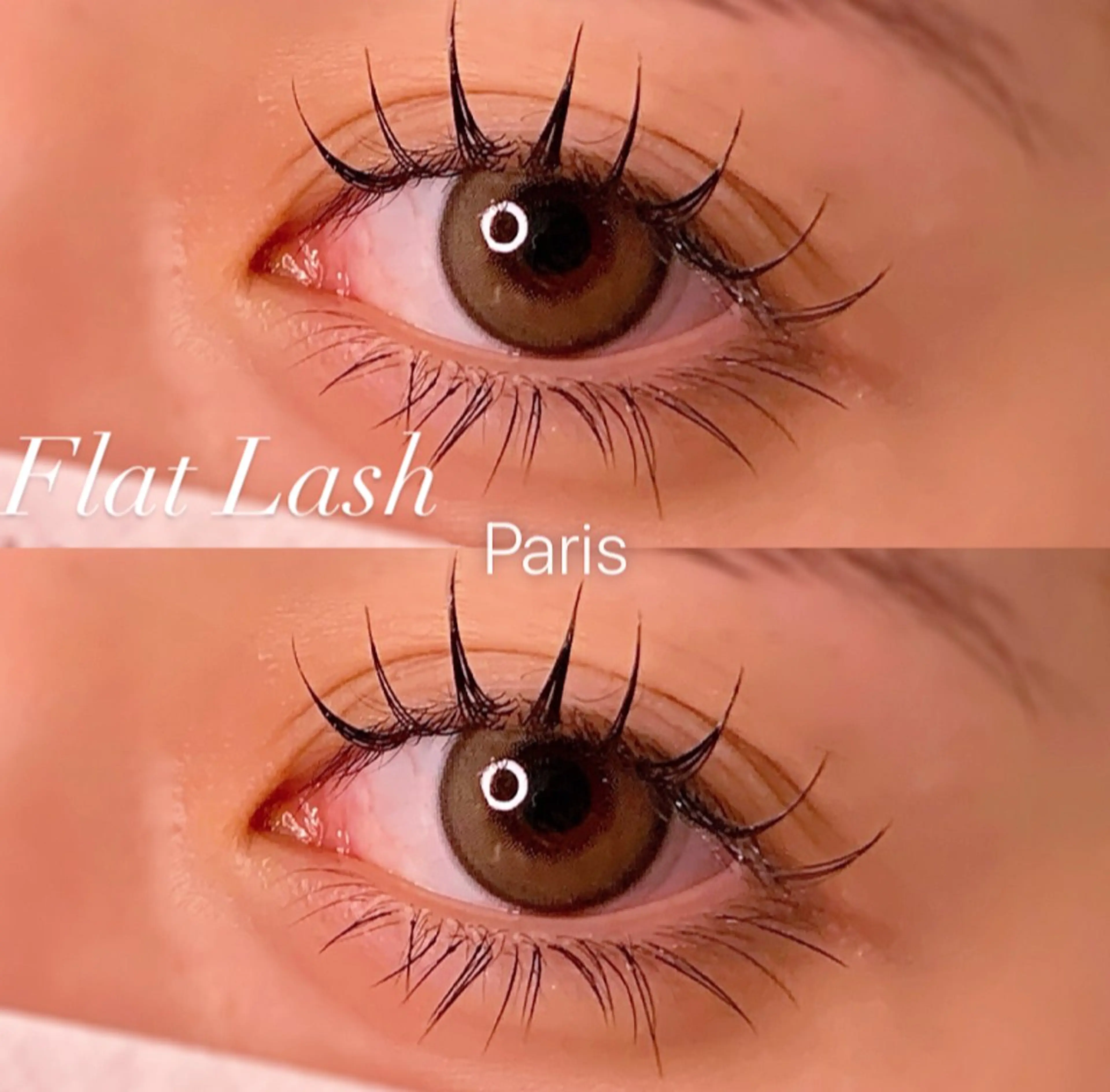 マツエク・マツパ Dカール フラットラッシュ Jカール 下まつげエクステ マツエク Ayumi.pro 🍆N《4階》のマツエク・マツパデザイン