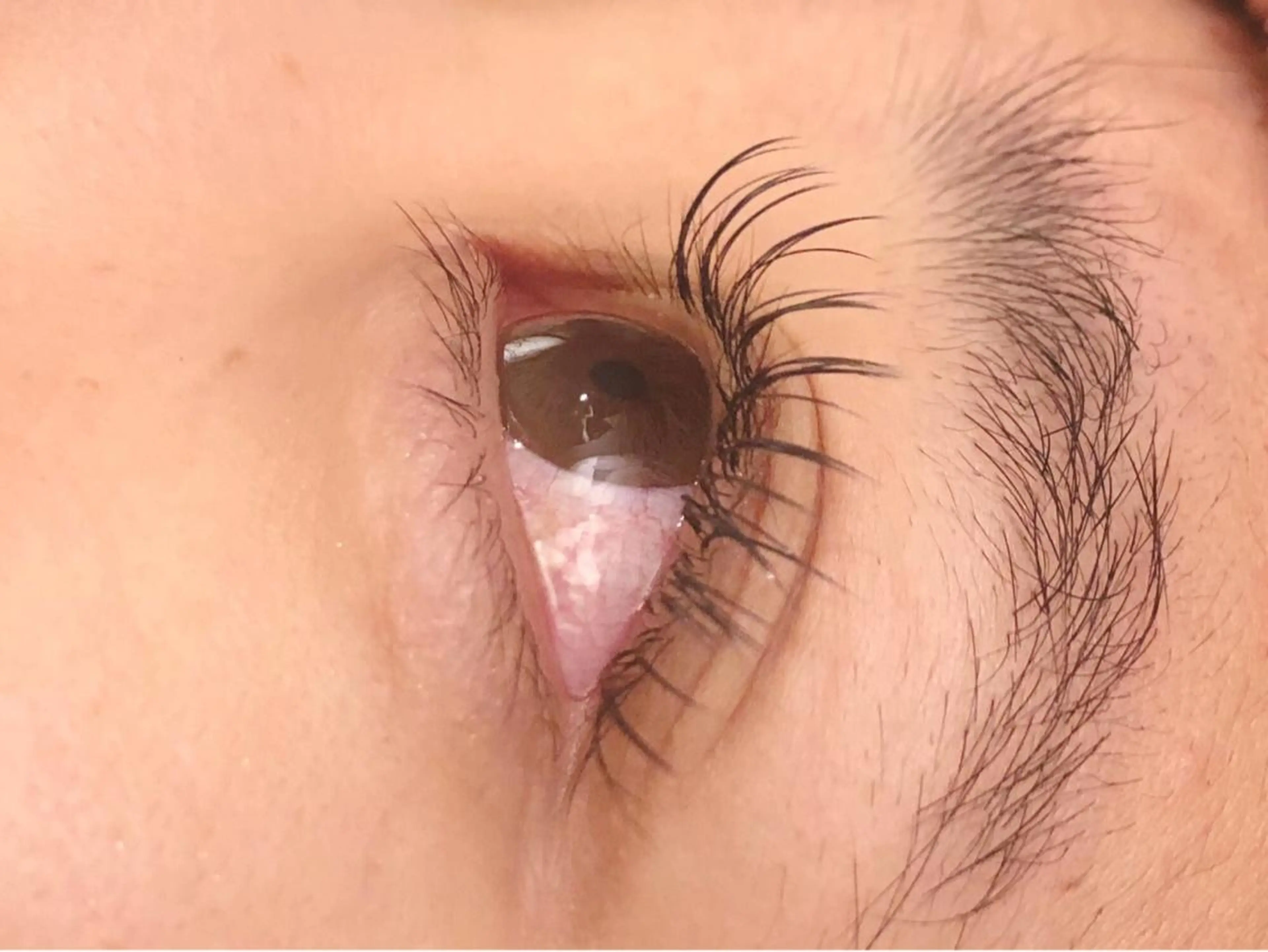 マツエク・マツパ Sylph & SCENEのマツエク・マツパデザイン