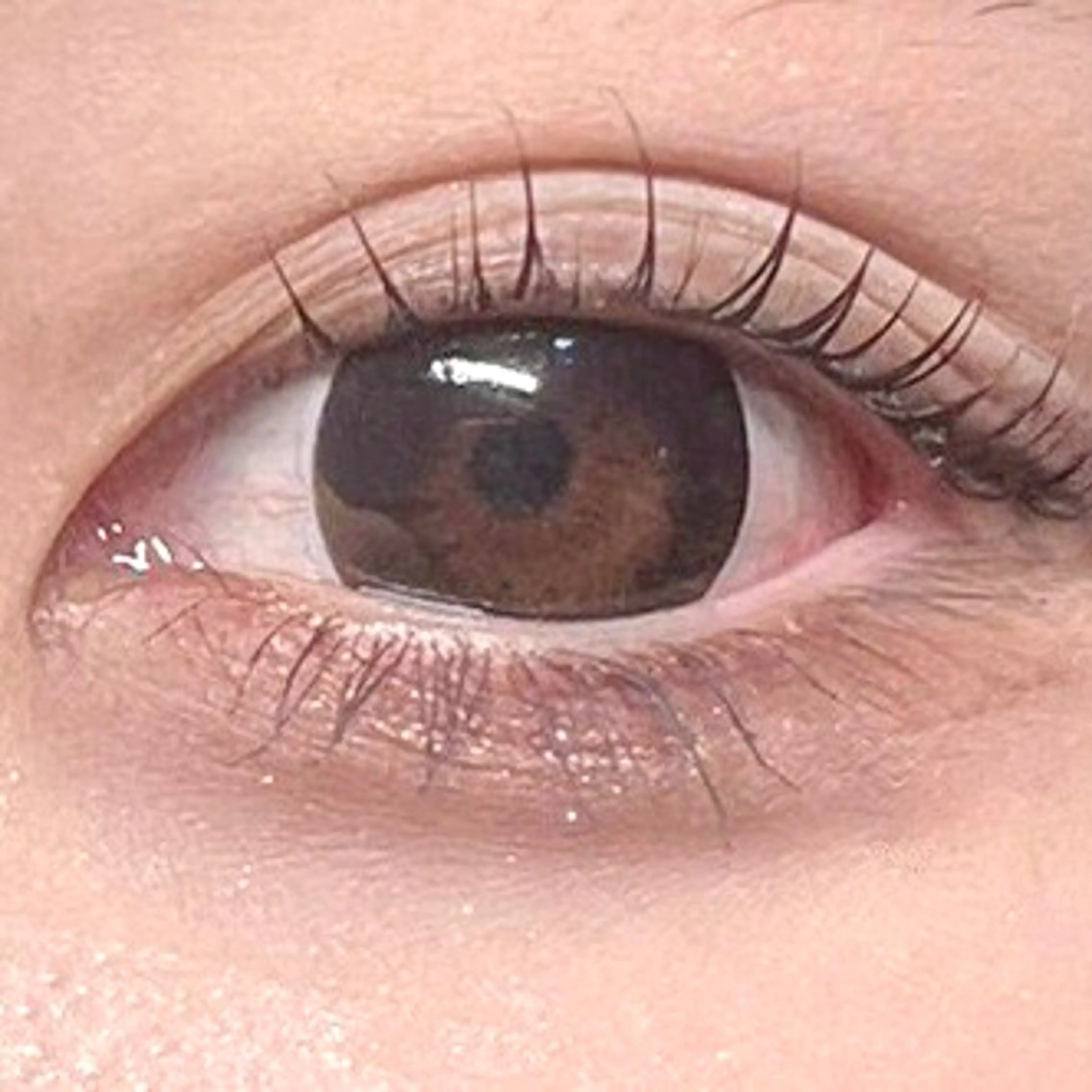 マツエク・マツパ パリジェンヌラッシュリフト サブスク🩵 EYEのマツエク・マツパデザイン