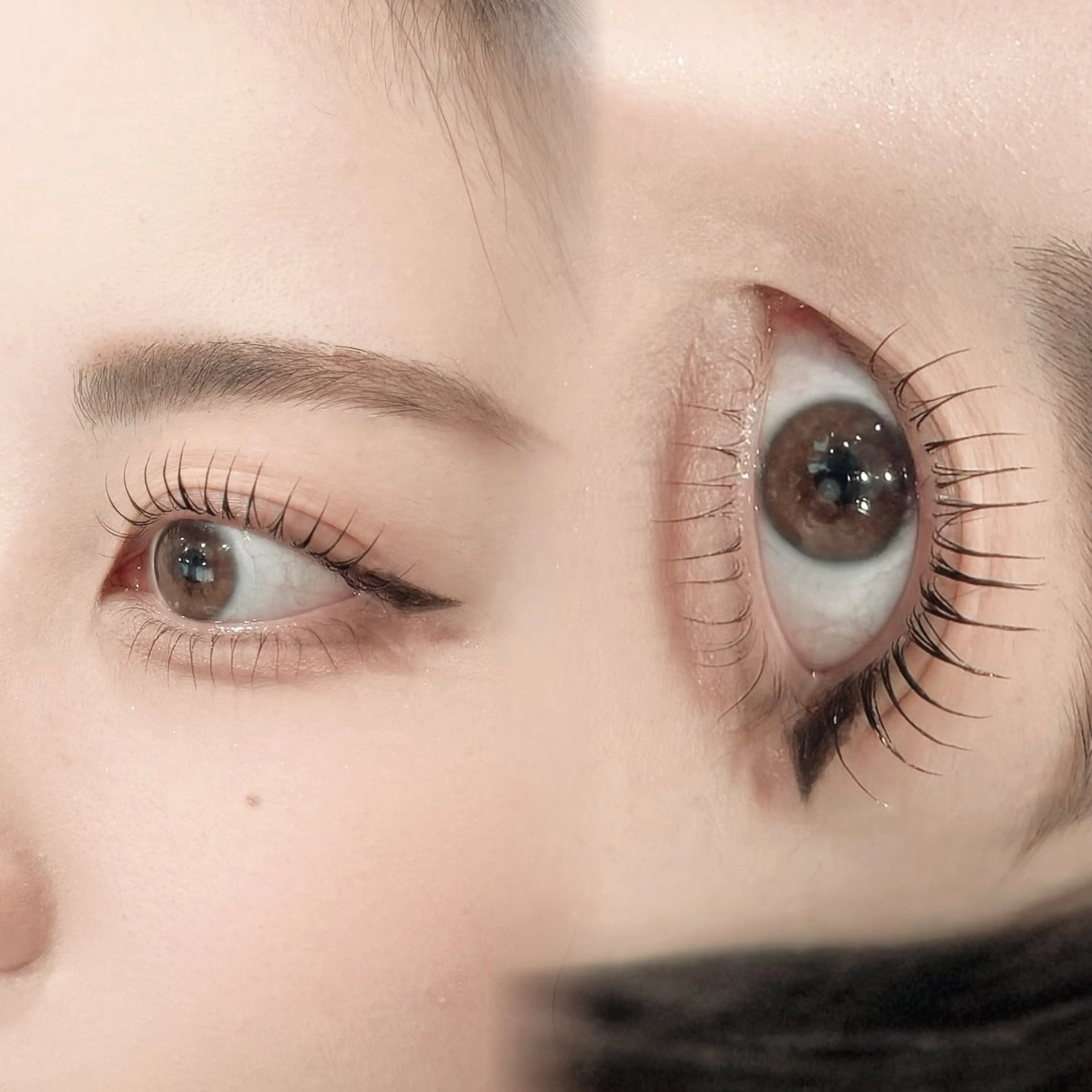 🦁デザイン上下まつ毛パーマ¥9,900→¥7,200【ミニモ限定価格】の写真