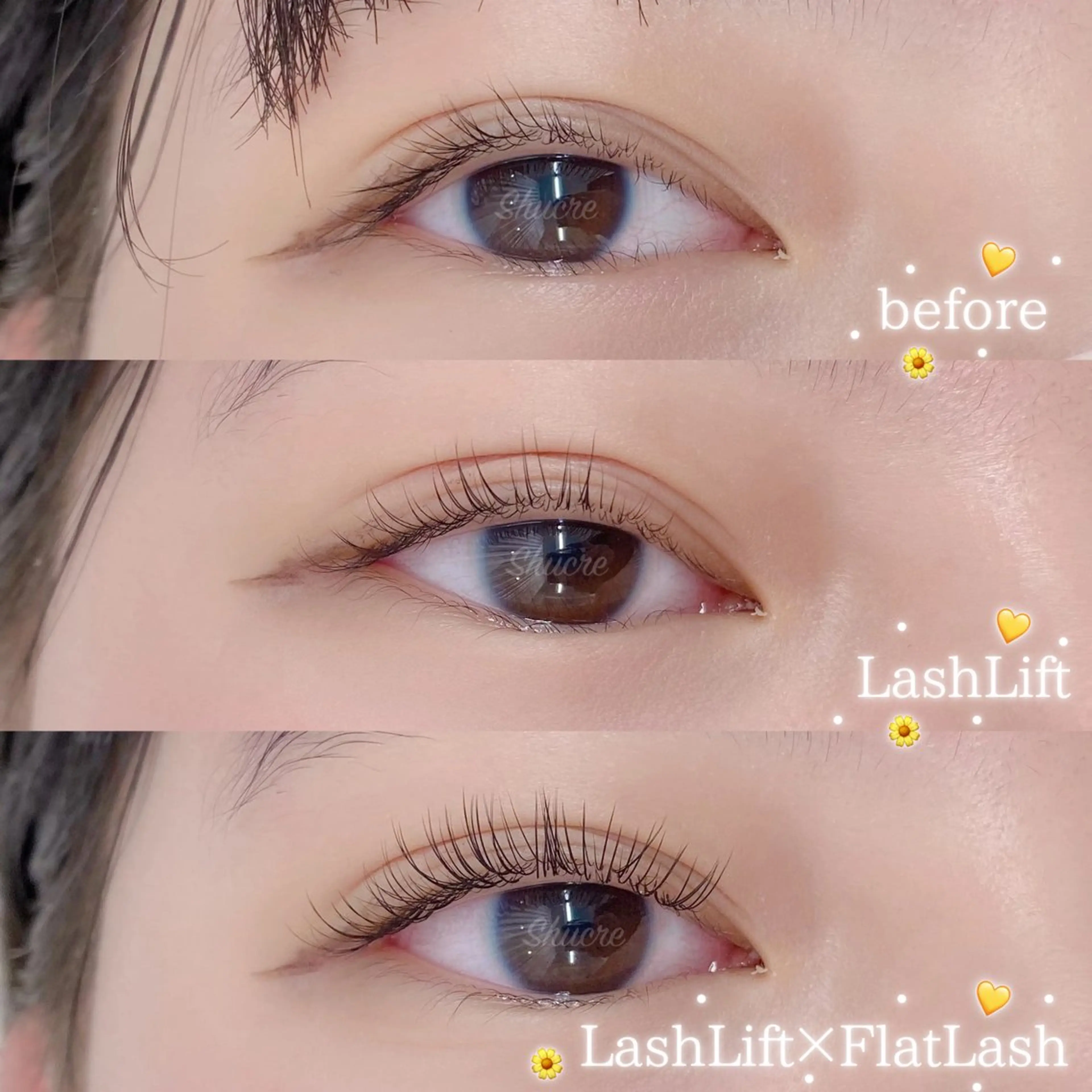 マツエク・マツパ Shucre栄店🤍 Rikaのマツエク・マツパデザイン