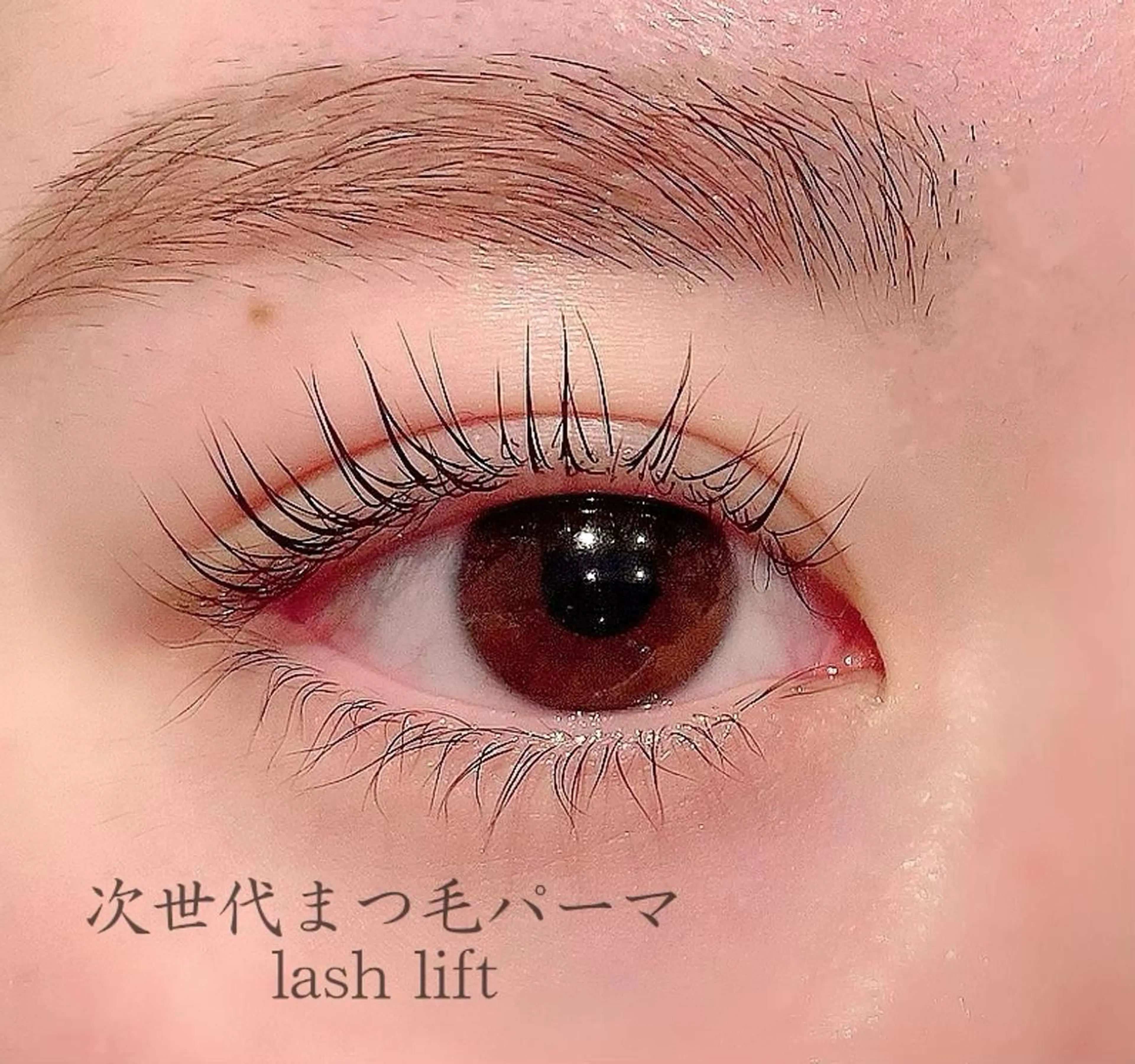 マツエク・マツパ RIGOLETTO 🤍吉成愛華のマツエク・マツパデザイン