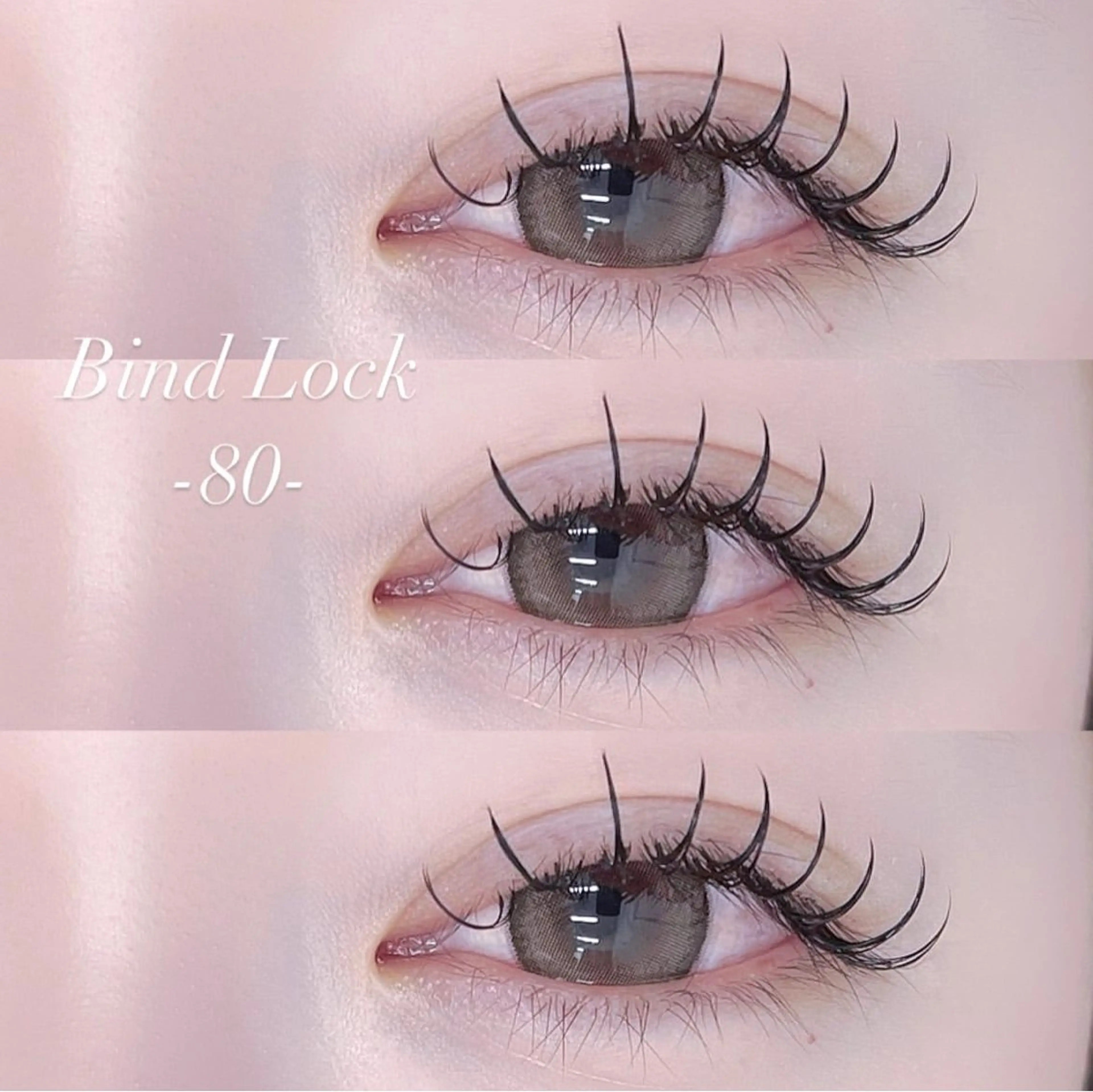 当日限定🪩バインドロック80束🪩の写真