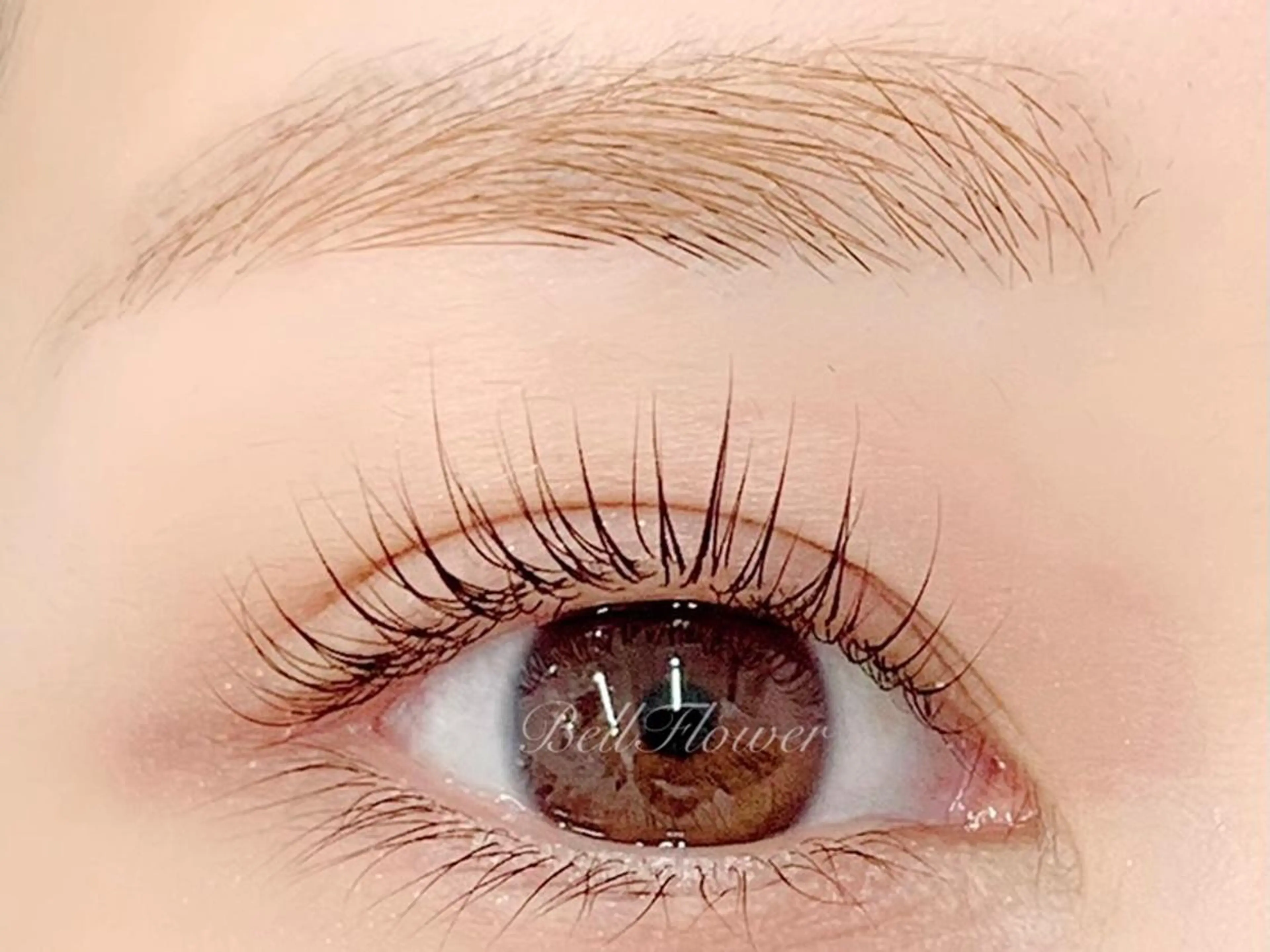 マツエク・マツパ パリジェンヌラッシュリフト BellFlower Aki(眉・まつげ)のマツエク・マツパデザイン