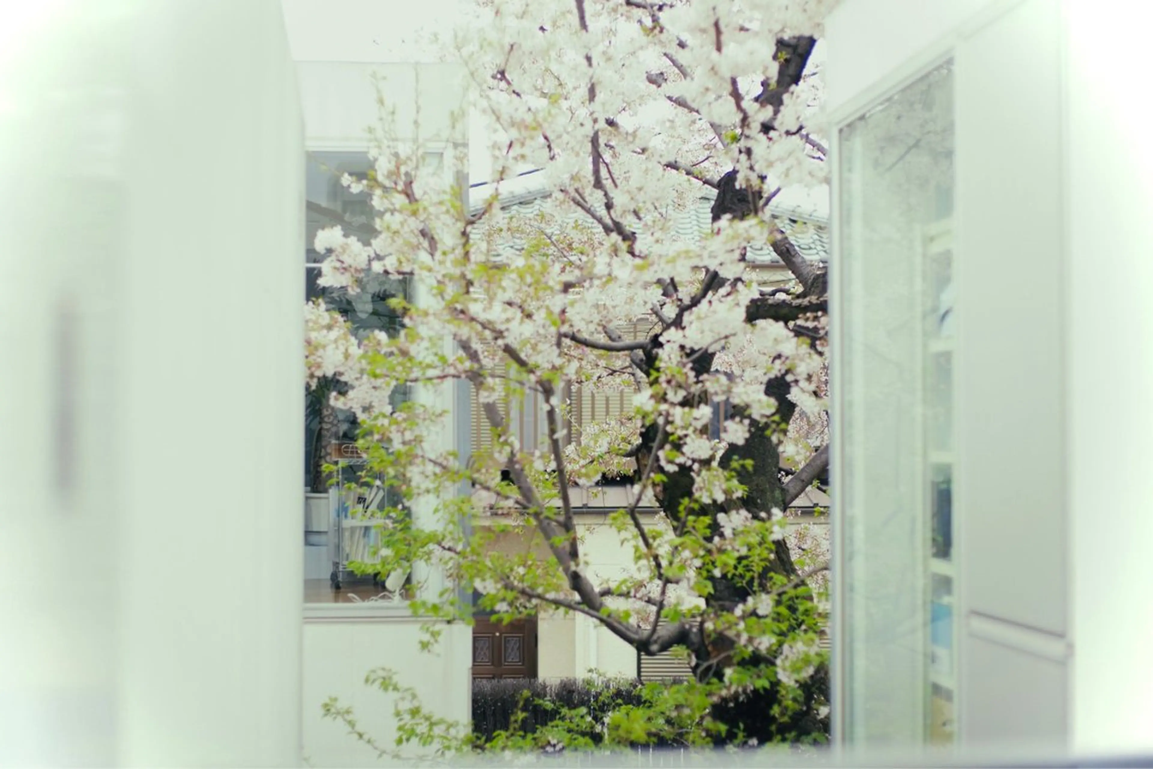 リラク flow lab 耳ツボ温活サロンのエステ・リラクイメージ