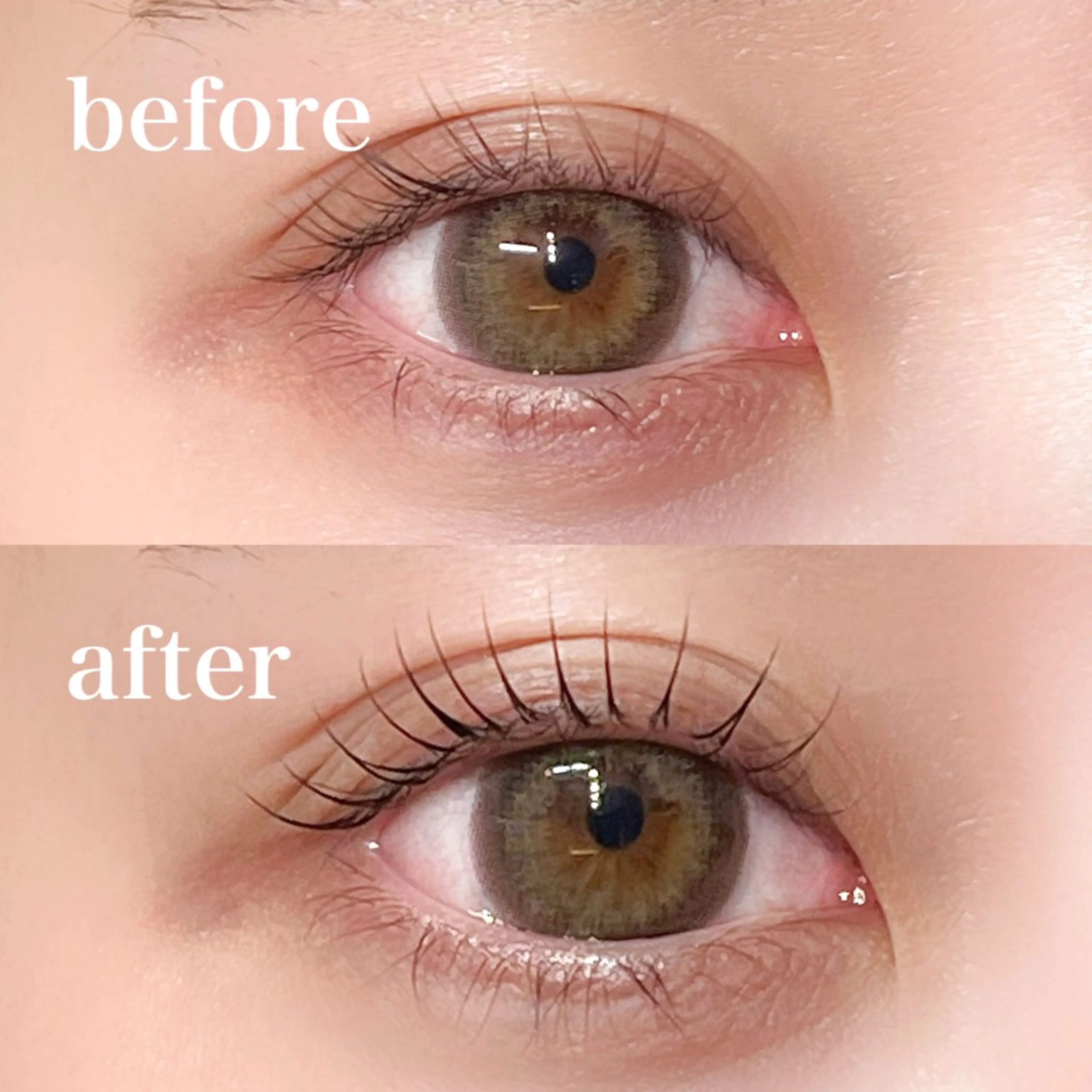 マツエク・マツパ 束感まつ毛 韓国風マツエク パリジェンヌラッシュリフト まつげパーマ 一重×まつ毛パーマ 仙台/束感まつげ💐 🎀Mizukiのマツエク・マツパデザイン