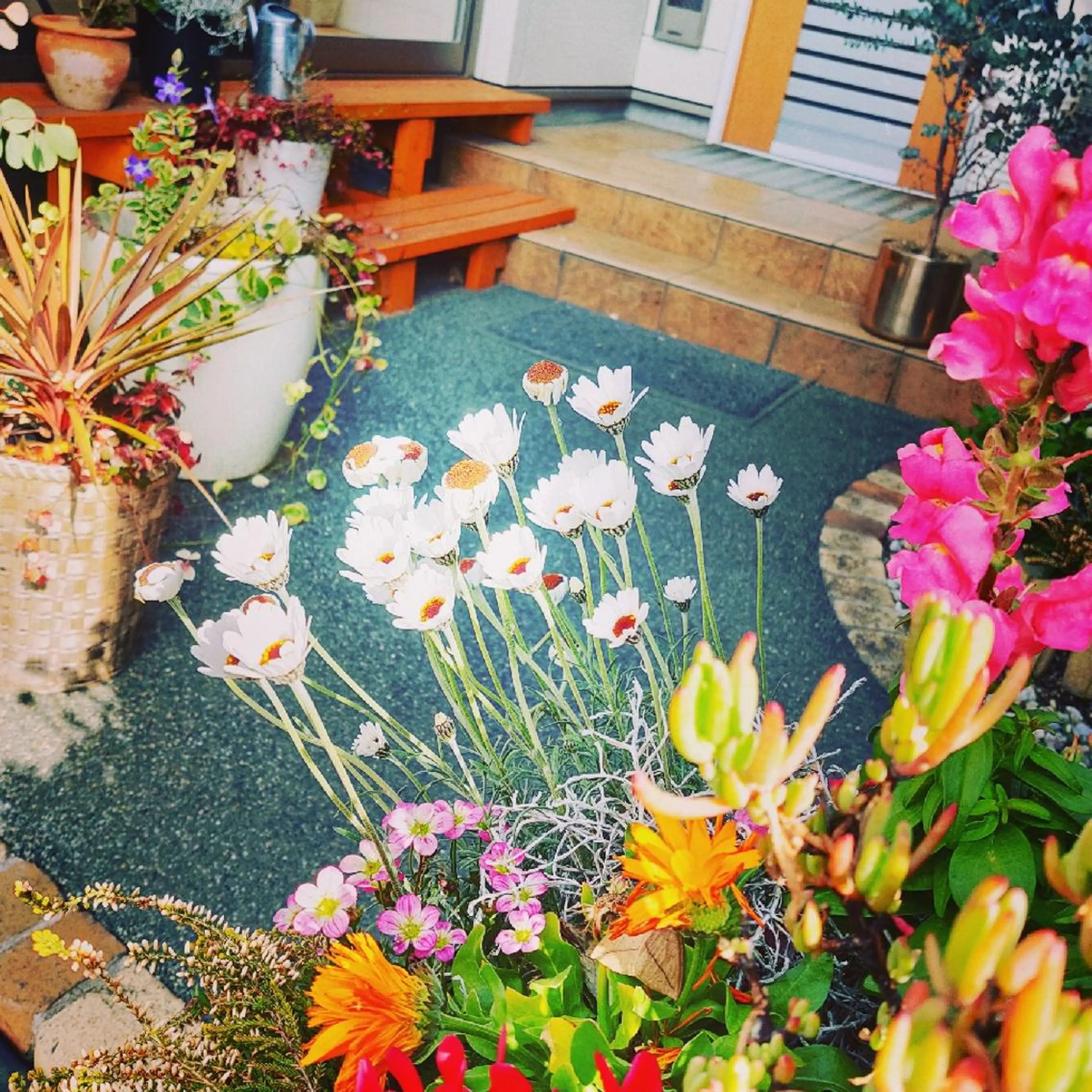 市川 紗弥香. のエステ・リラクイメージ