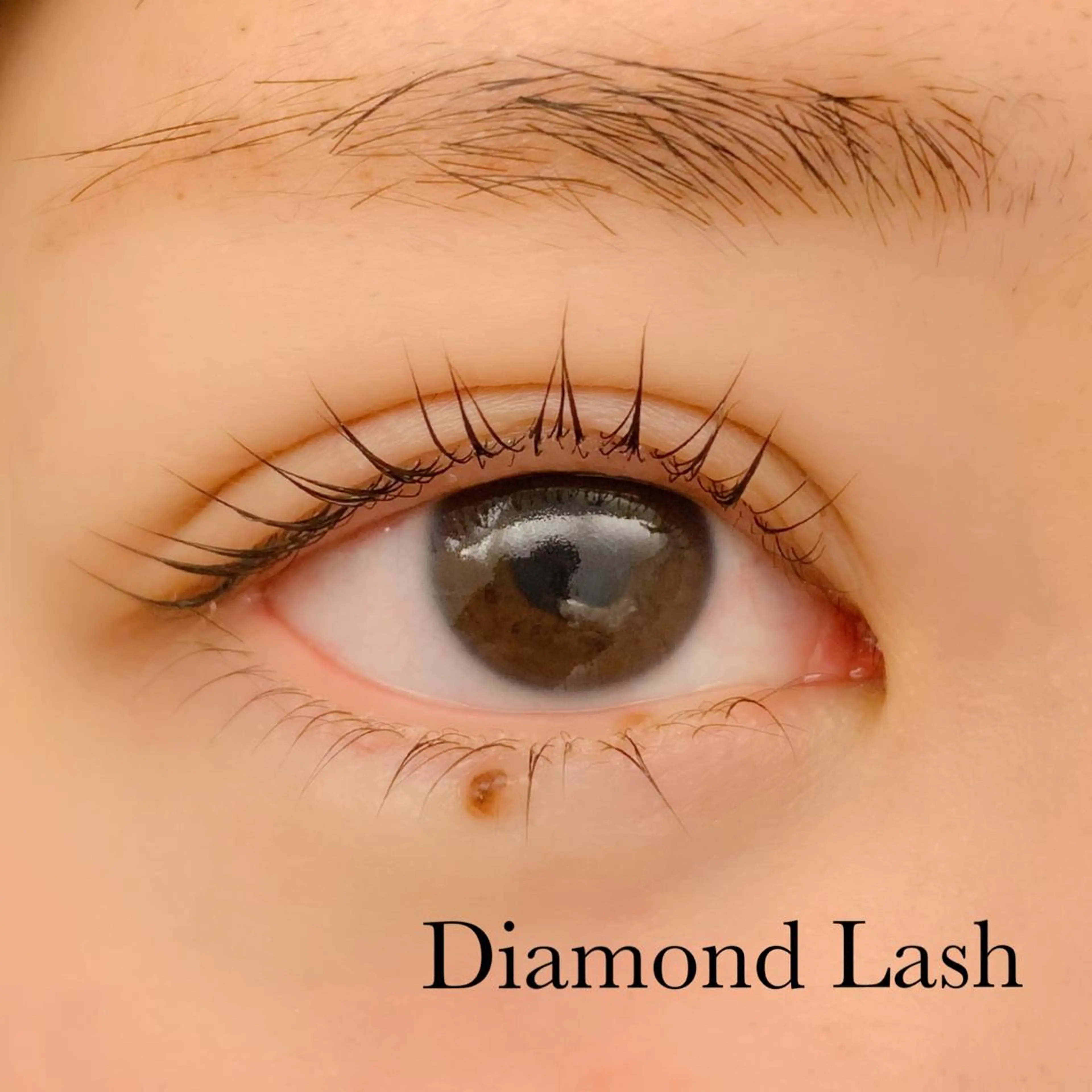 マツエク・マツパ DL・BEAUT 表参道の眉毛・アイブロウイメージ