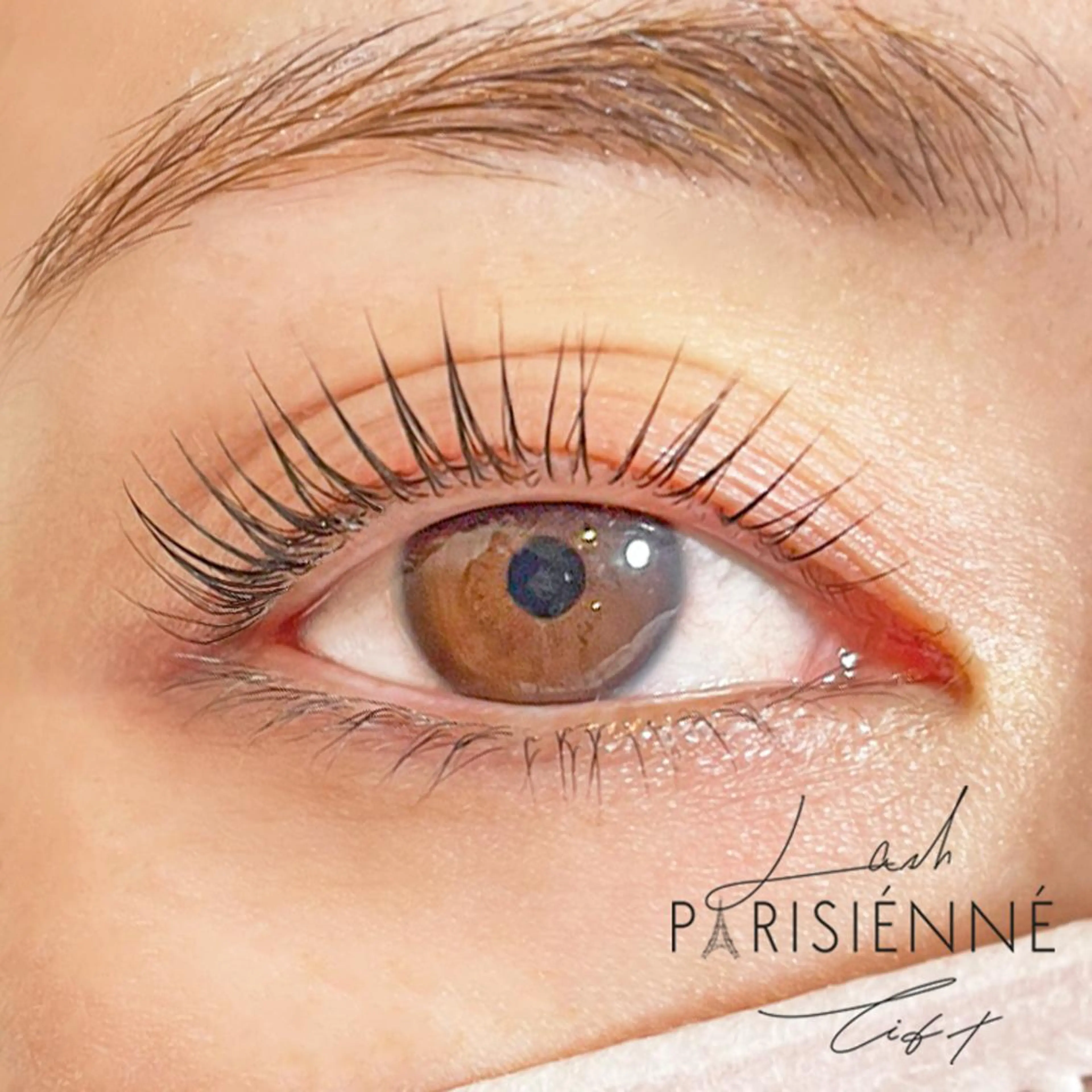 マツエク・マツパ パリジェンヌラッシュリフト マツパ Emina. Nのマツエク・マツパデザイン